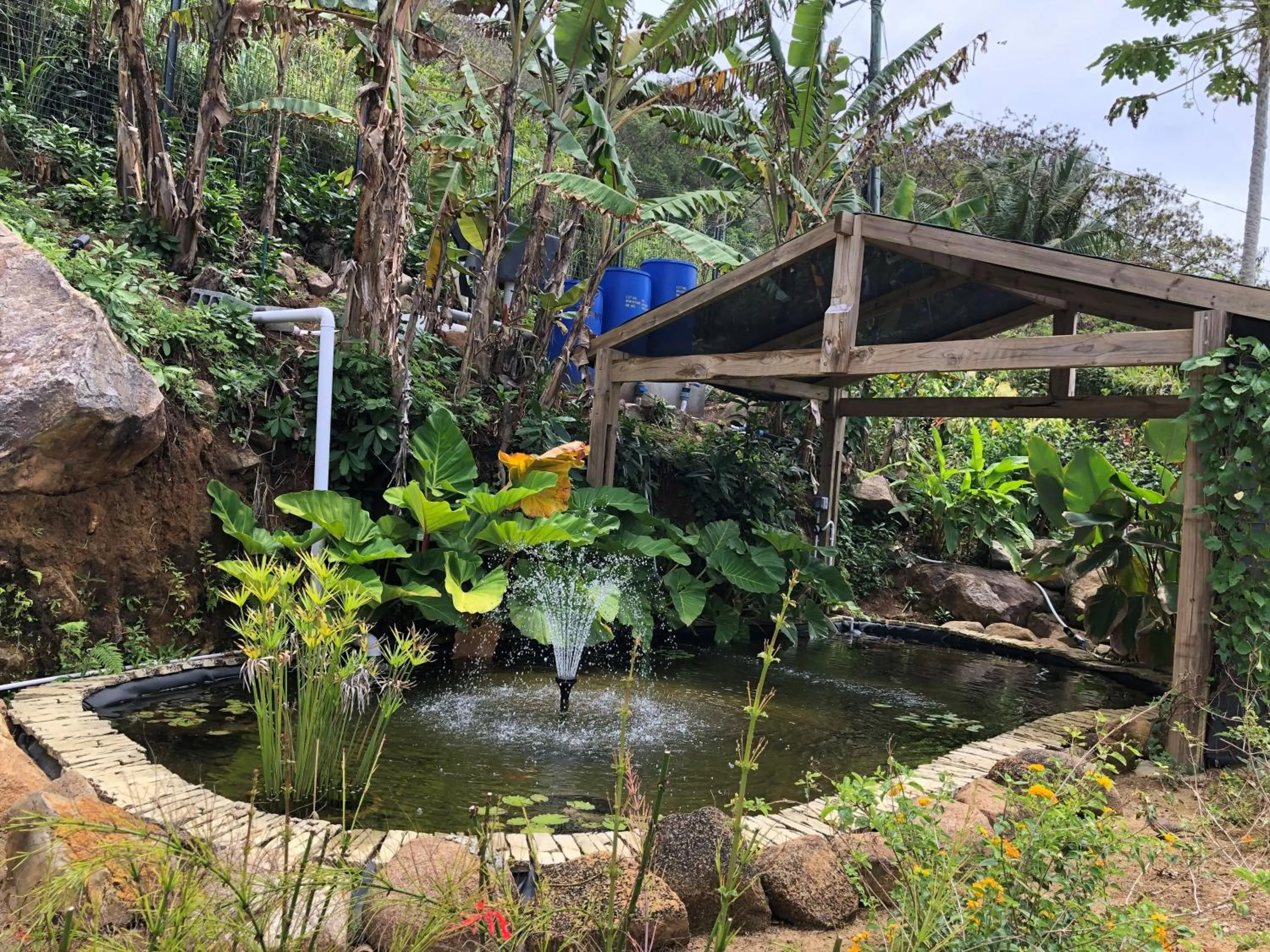 Natural landscape in Paradise Chalets Yoga & Wellness