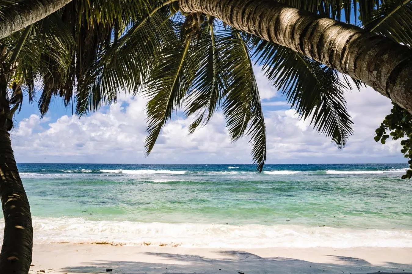 Beach in Paradise Chalets Yoga & Wellness