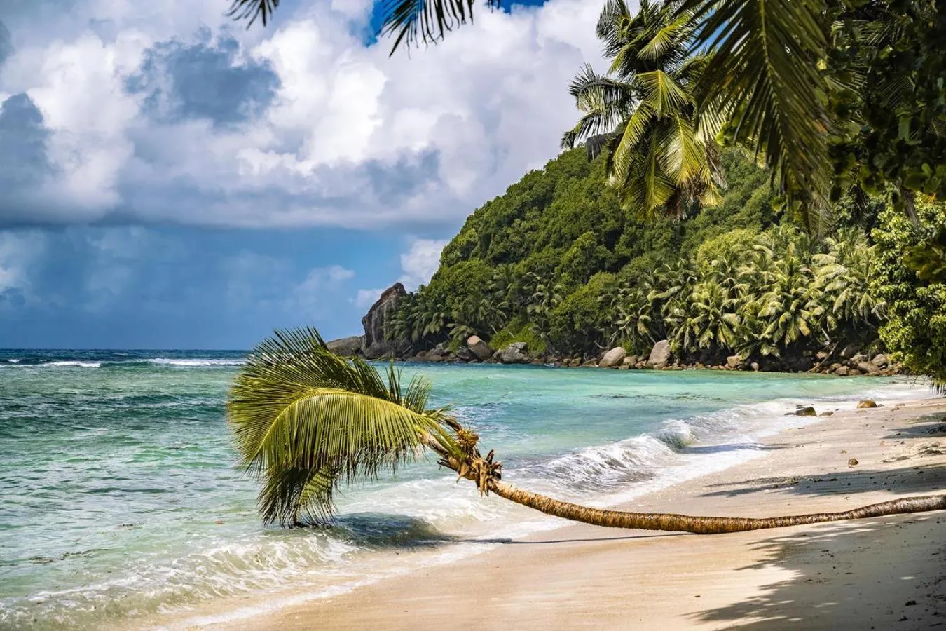 Natural landscape in Paradise Chalets Yoga & Wellness