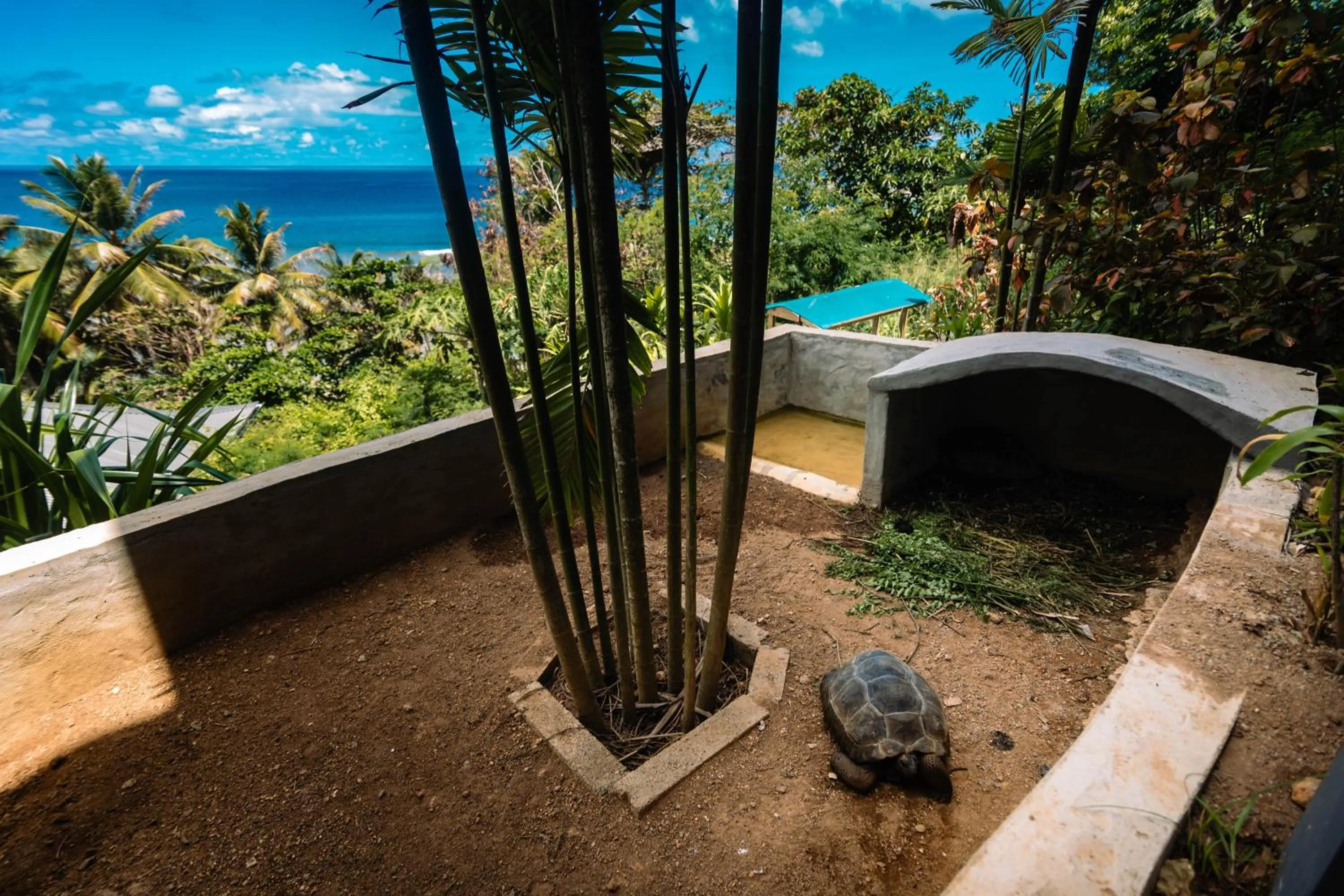 Garden in Paradise Chalets Yoga & Wellness