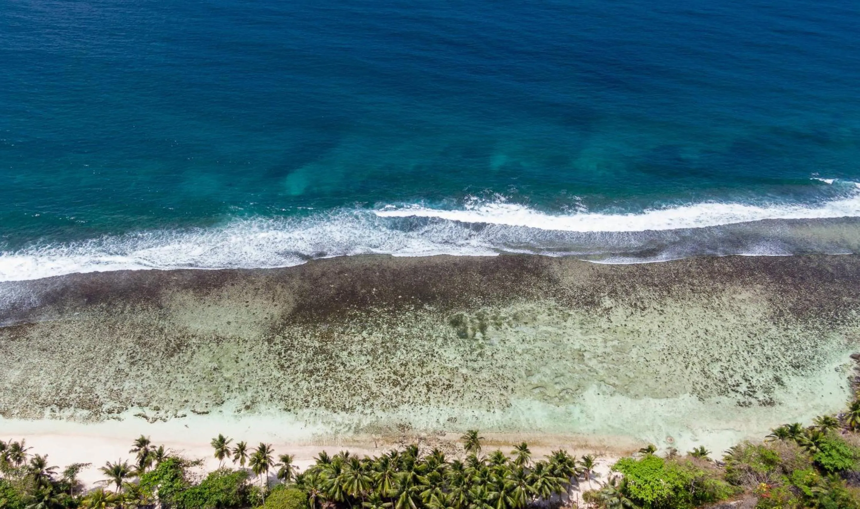 Bird's eye view in Paradise Chalets Yoga & Wellness