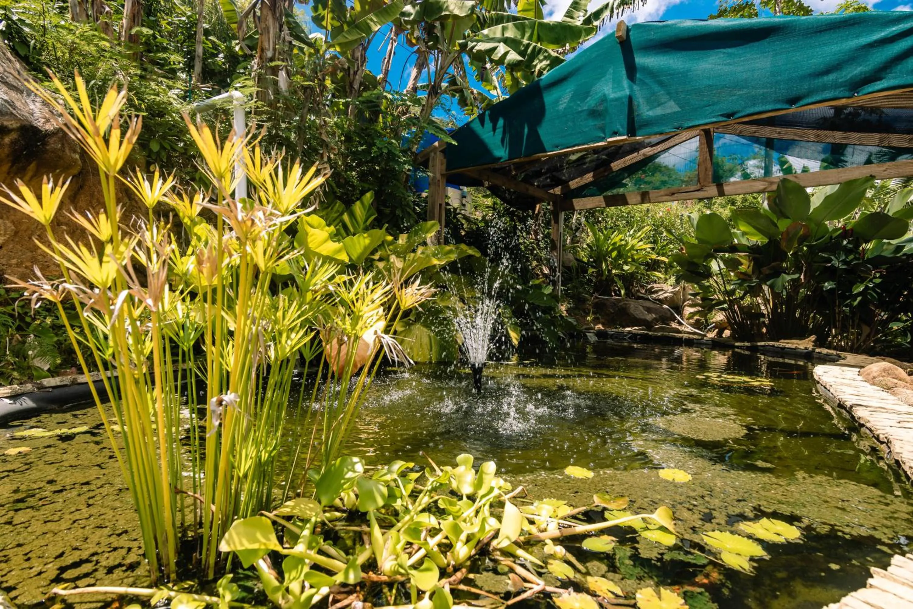 Day in Paradise Chalets Yoga & Wellness