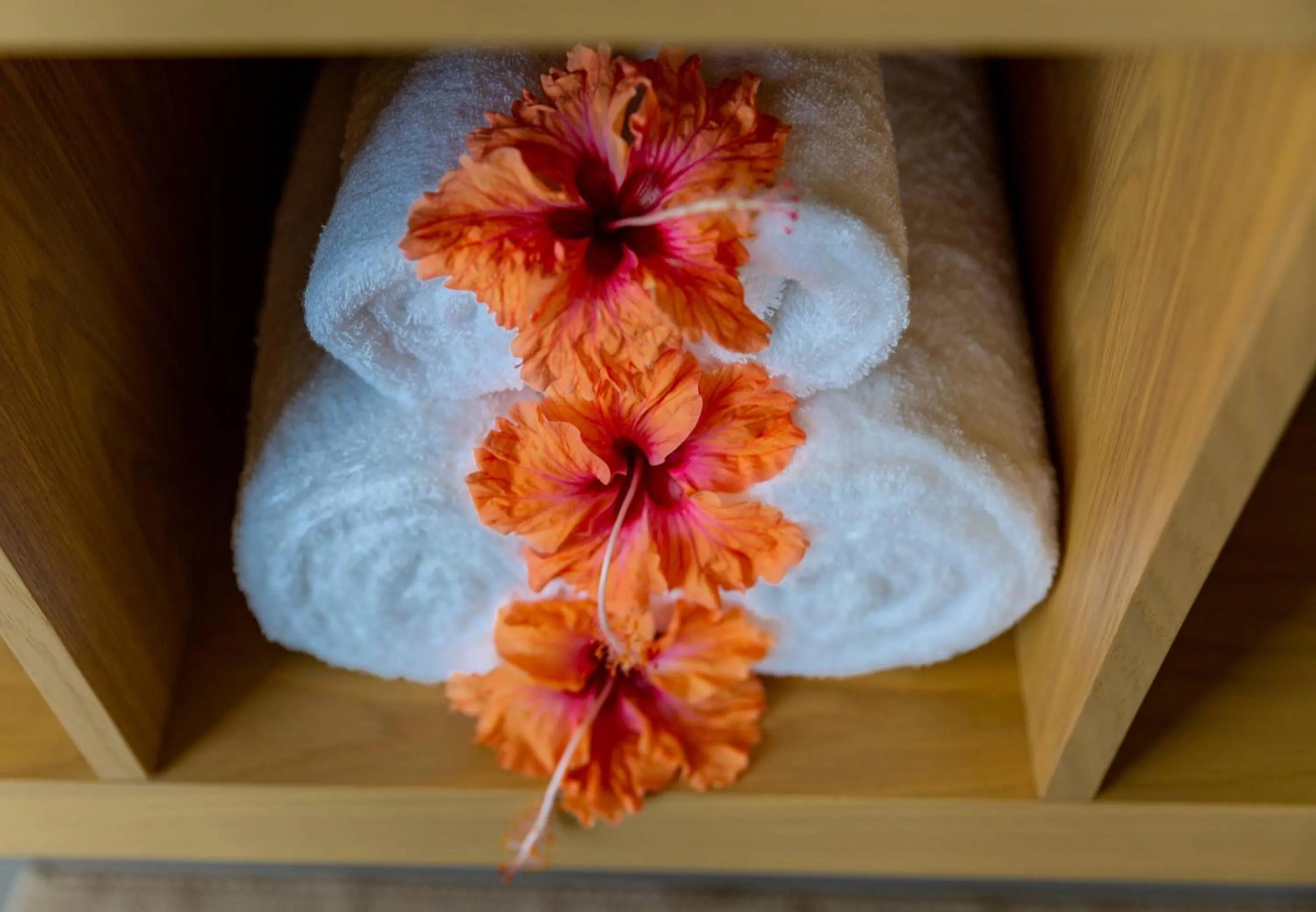 Spa and wellness centre/facilities in Paradise Chalets Yoga & Wellness