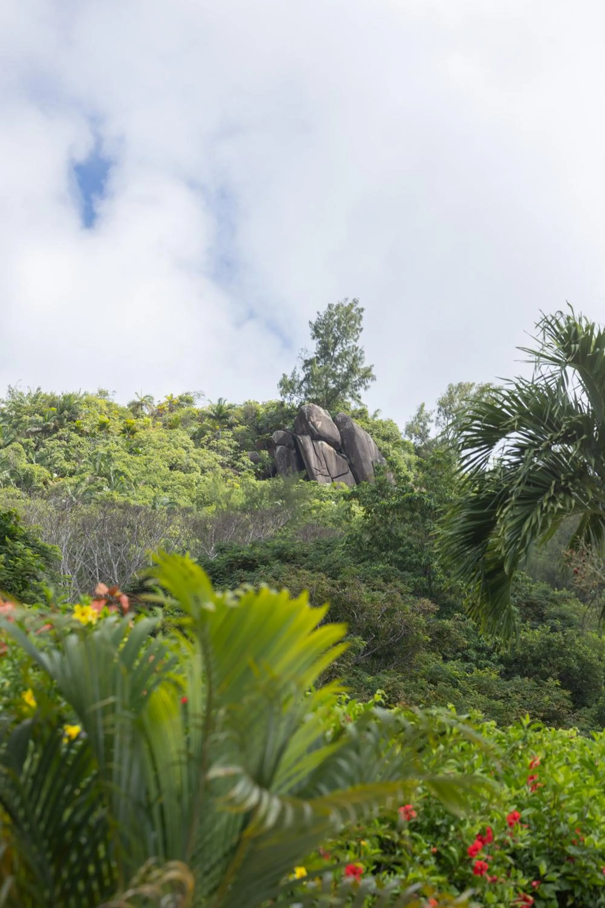 Garden in Paradise Chalets Yoga & Wellness