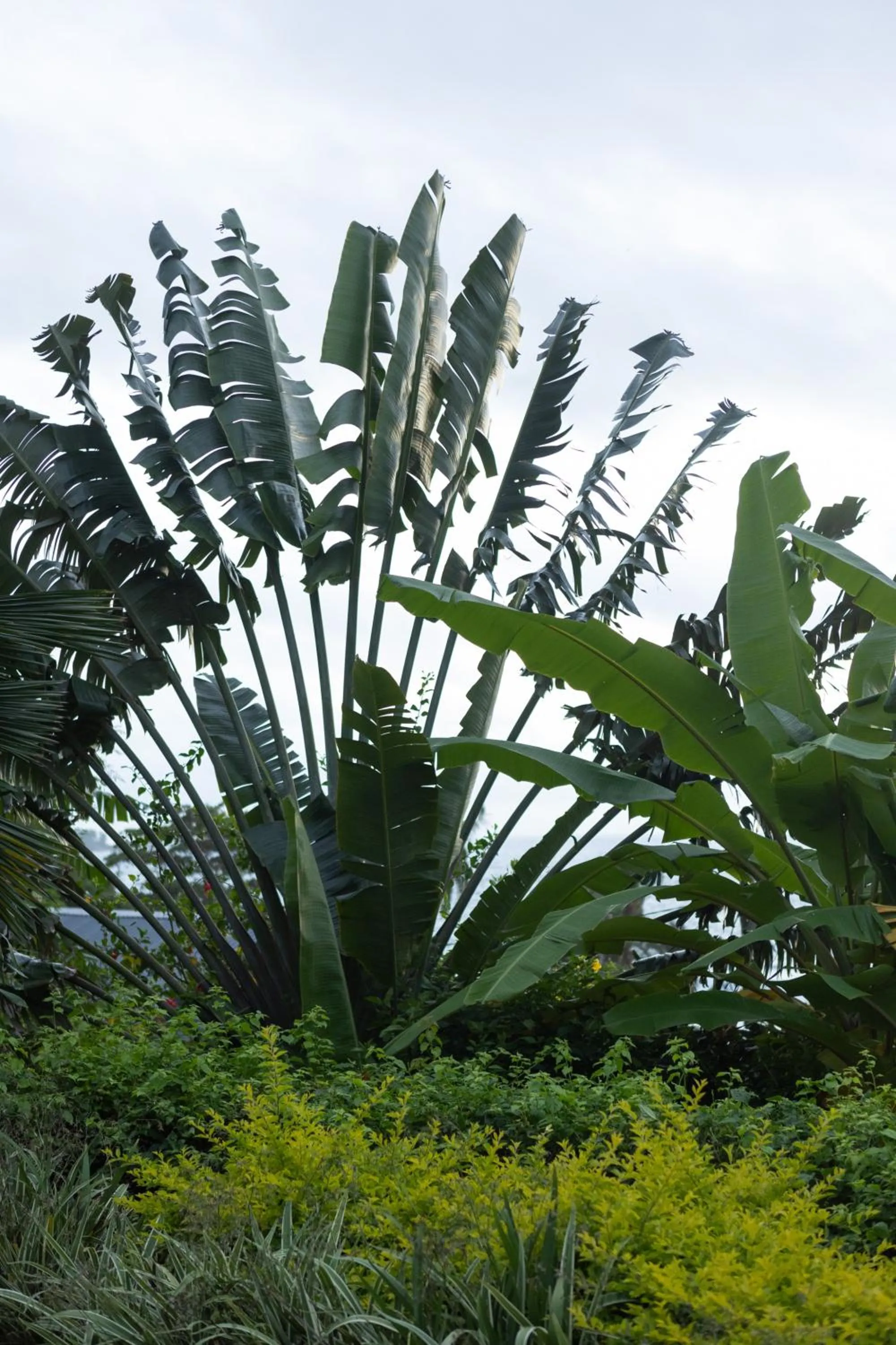 Garden in Paradise Chalets Yoga & Wellness