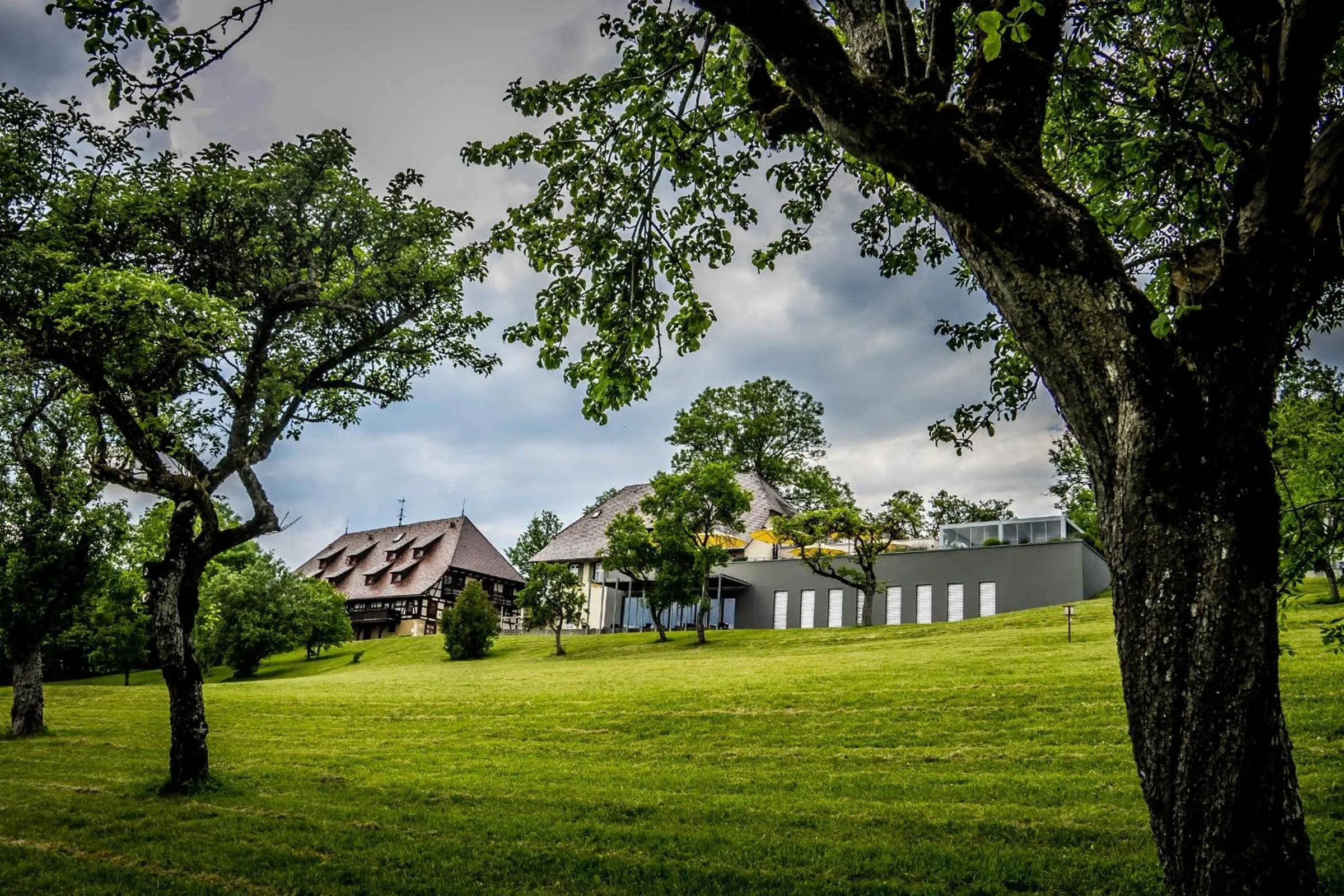 Garden in Hotel Hofgut Hohenkarpfen