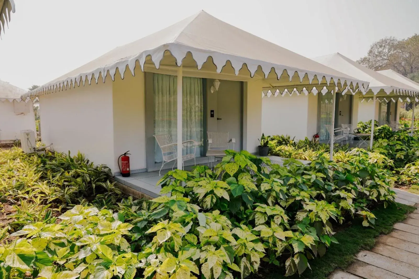 Winter Green Premium Tent, 1 King Bed - single occupancy in The Fern Seaside Luxurious Tent Resort Daman, Series by Marriott Winter Green Premium Tent, 1 King Bed - single occupancy in The Fern Seaside Luxurious Tent Resort Daman, Series by Marriott