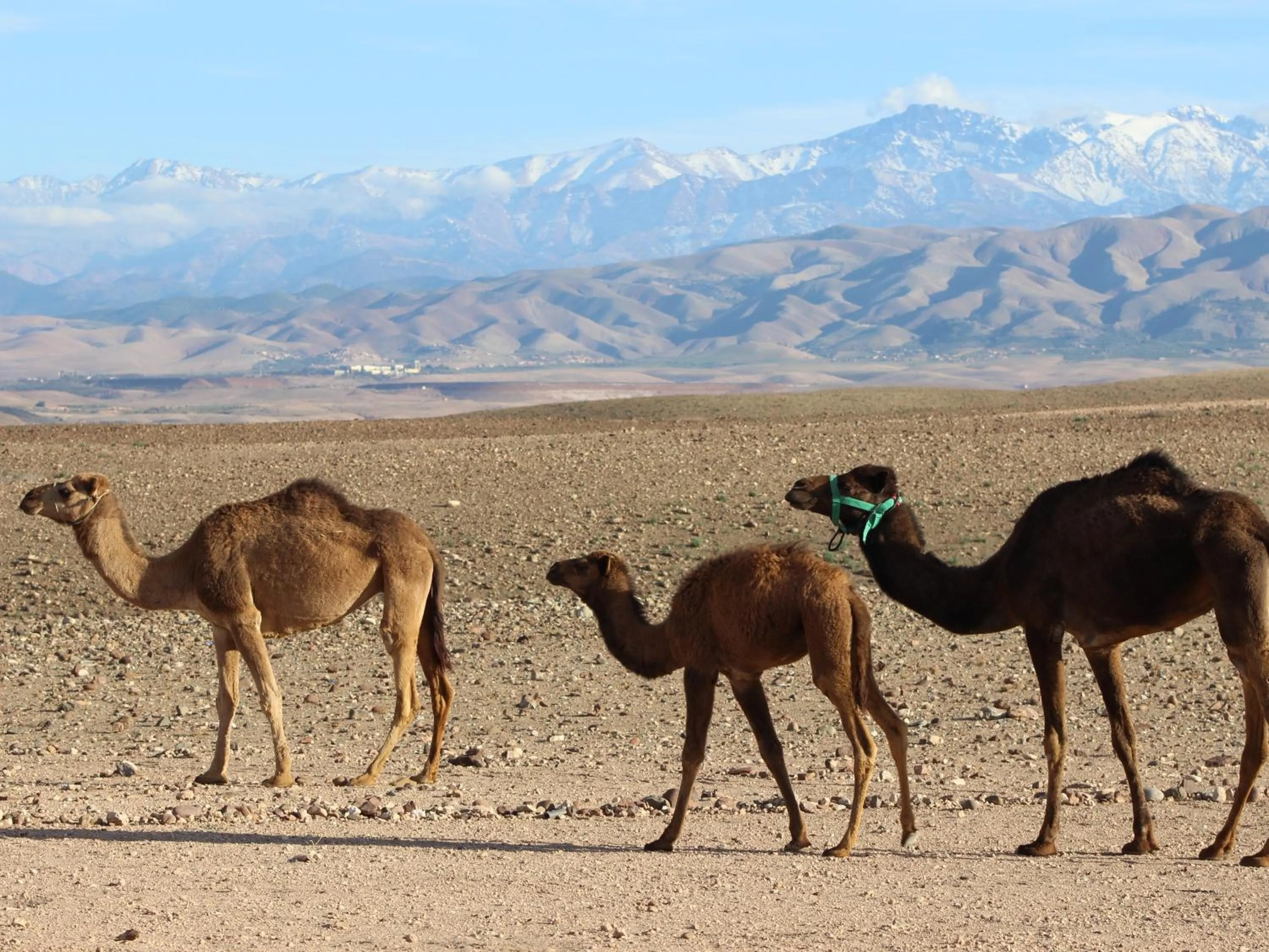 Natural landscape in Nkhila Lodge