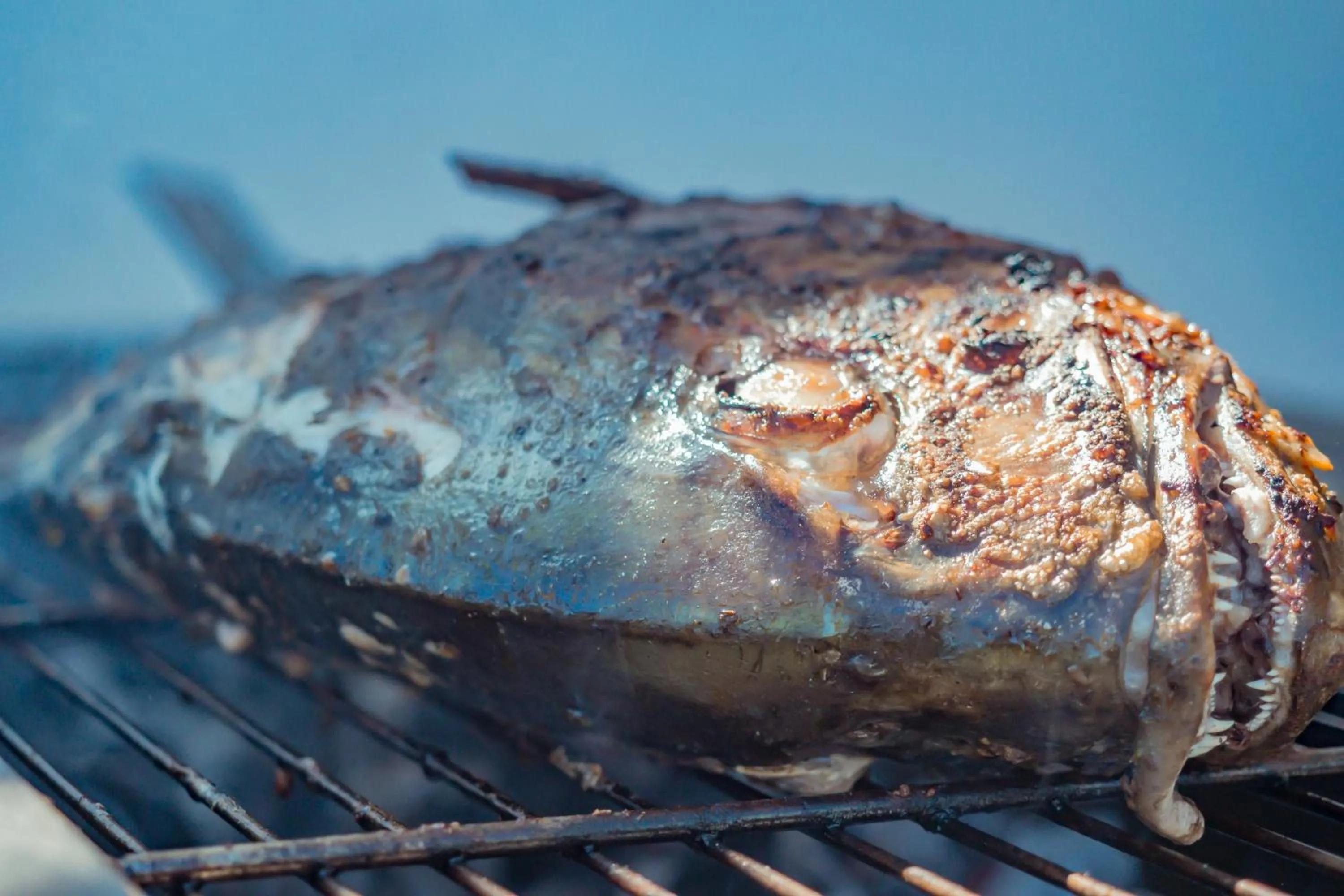 Food in La Fourmi Hotel