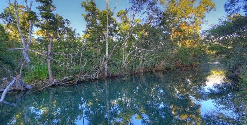 Natural landscape in Kookaburra Holiday Park