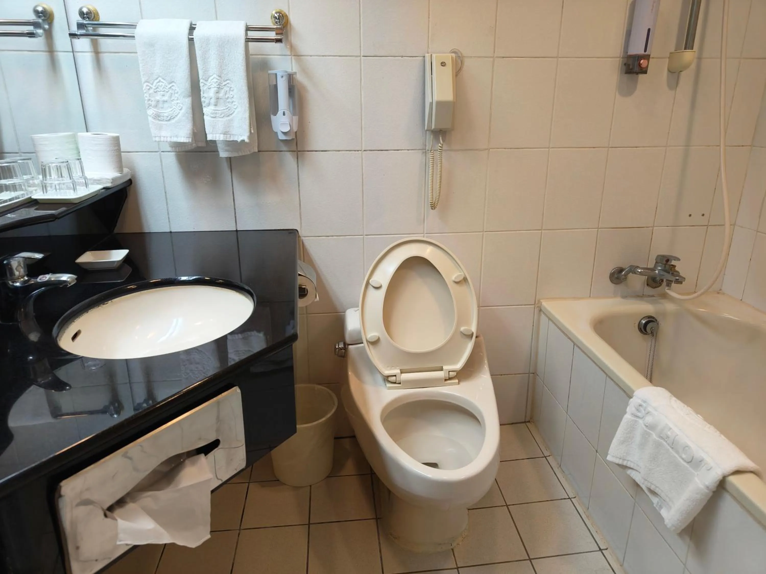 Toilet in First Hotel