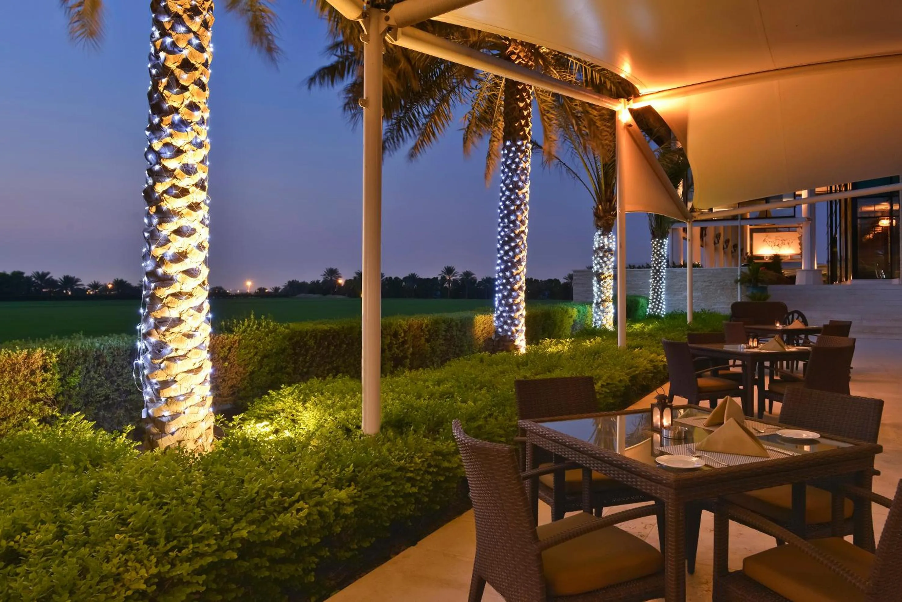 Balcony/Terrace in Meliá Desert Palm Member of Meliá Collection