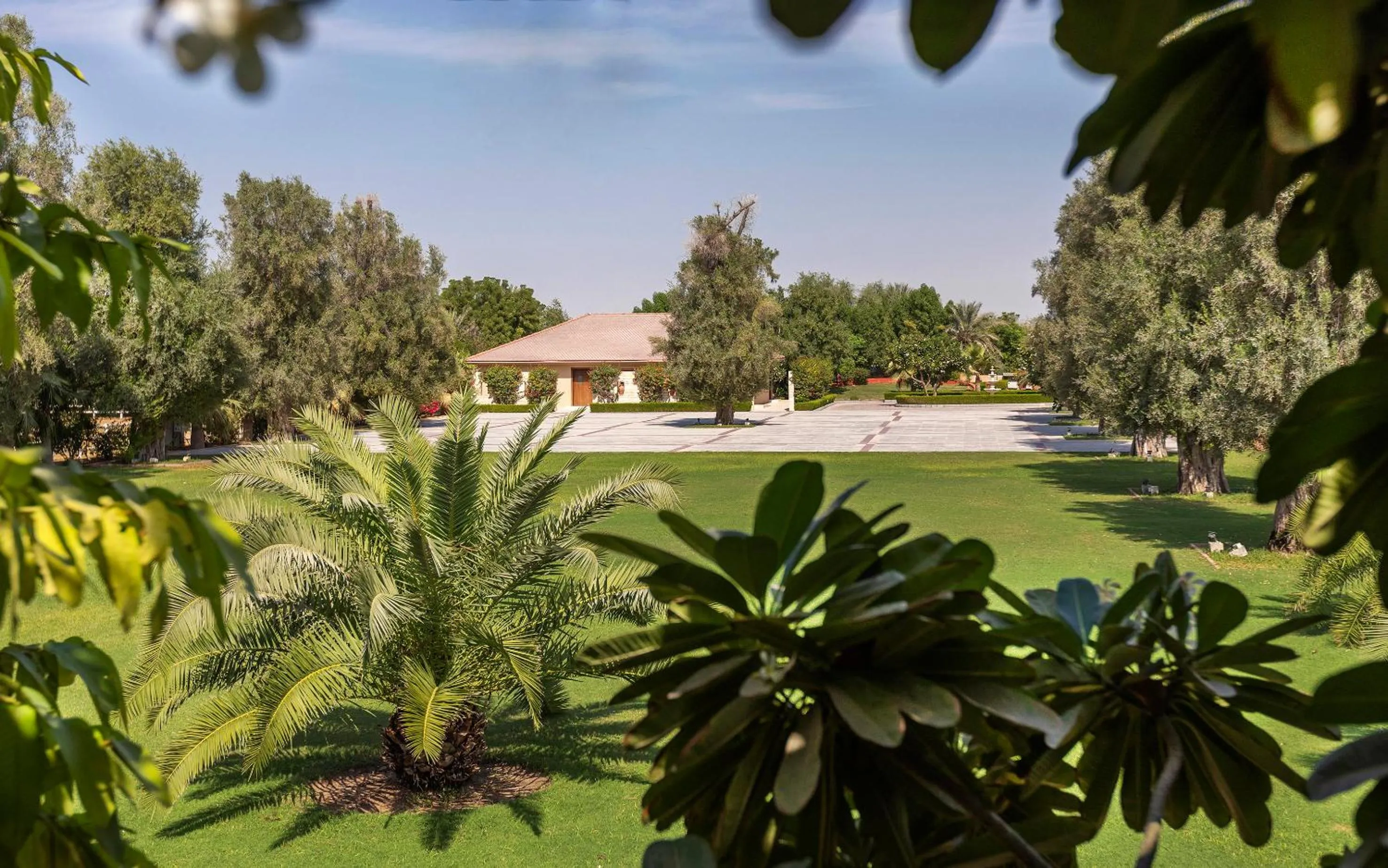 Garden in Meliá Desert Palm Member of Meliá Collection