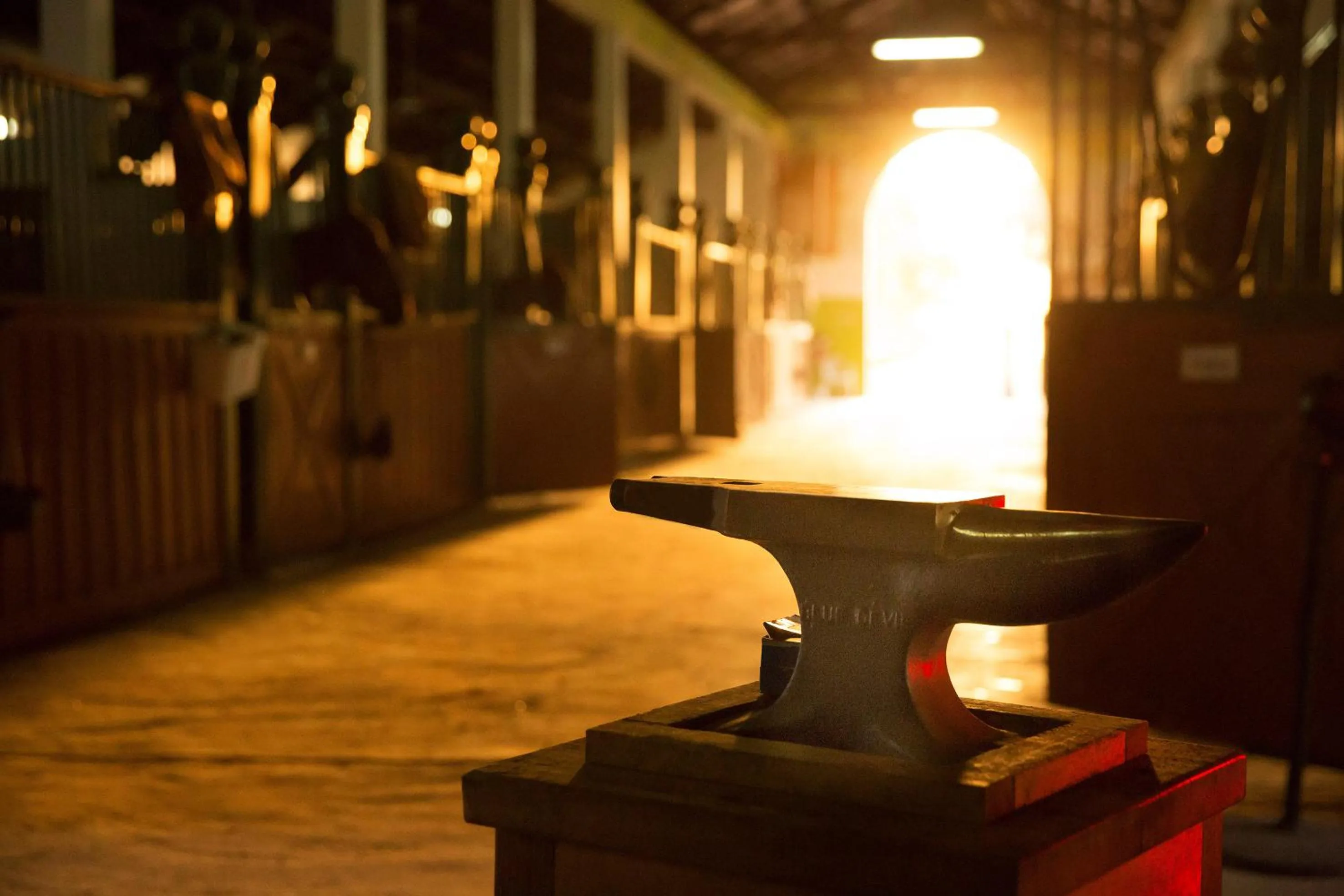 Decorative detail in Meliá Desert Palm Member of Meliá Collection
