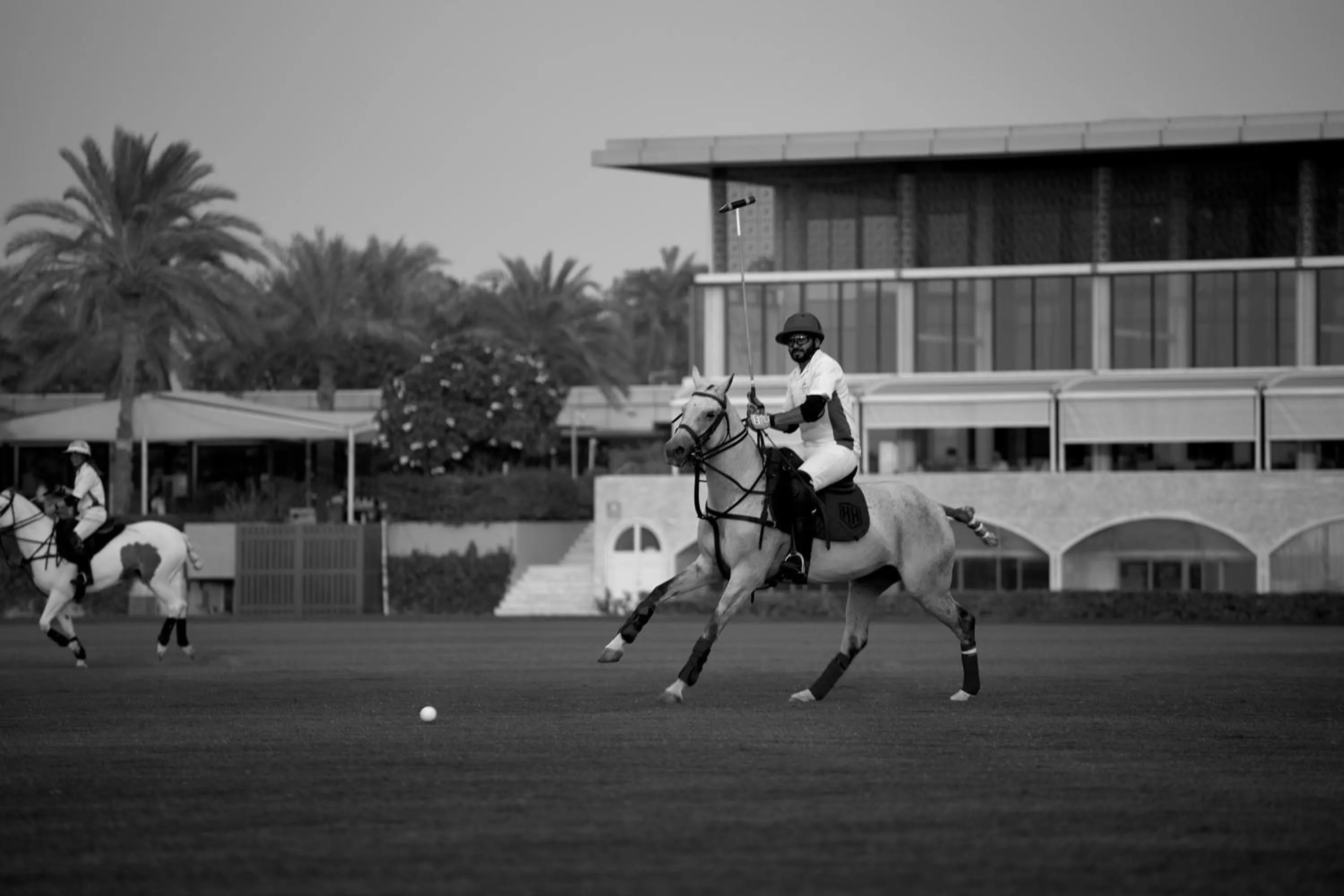 Entertainment in Meliá Desert Palm Member of Meliá Collection