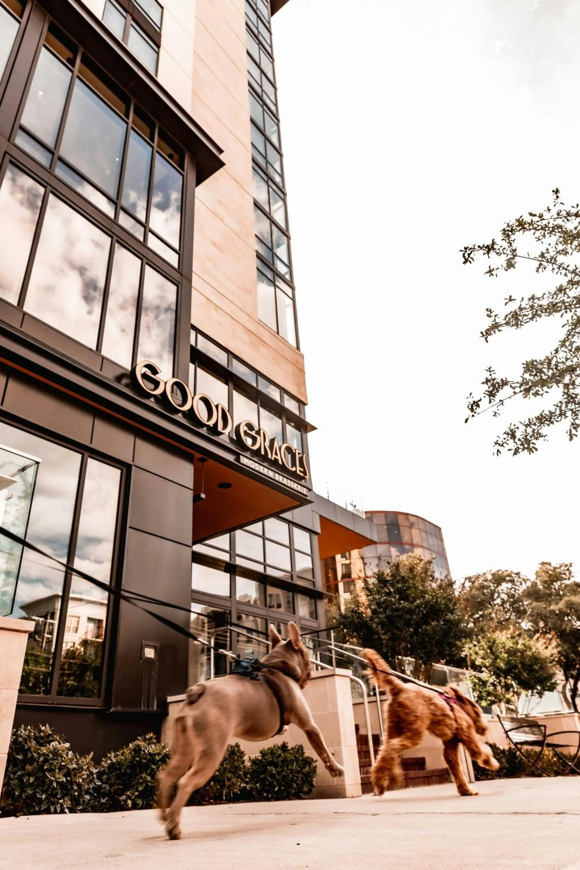 Other in Marriott Dallas Uptown