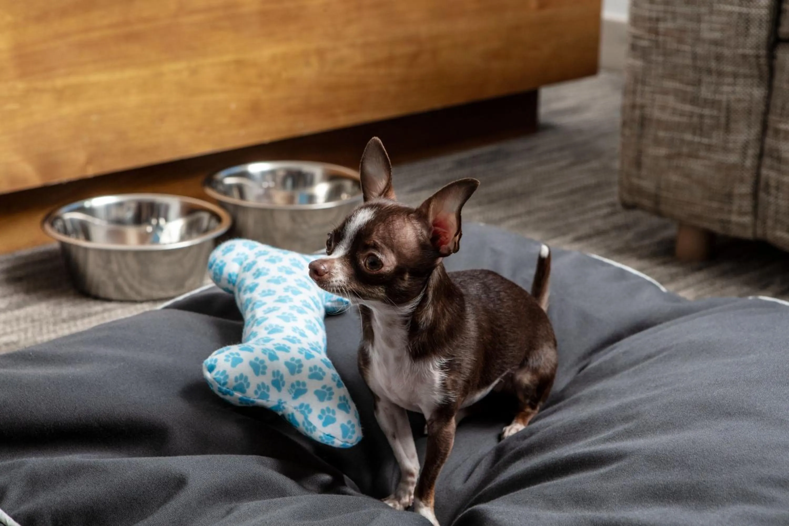 Other in Element by Westin Orlando International Drive