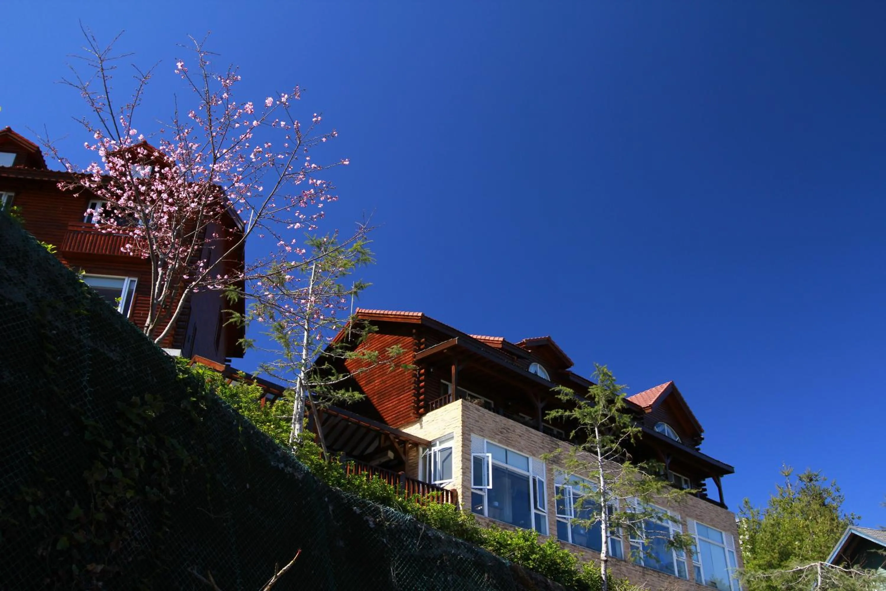 Restaurant/places to eat in Ailiga Travel Villa