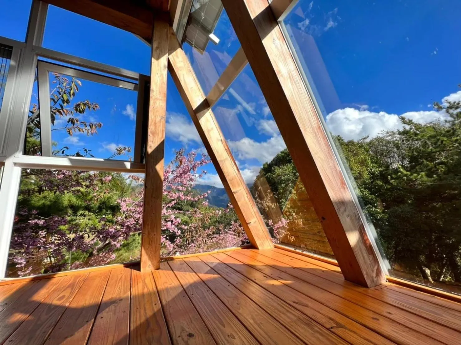 Photo of the whole room in Ailiga Travel Villa