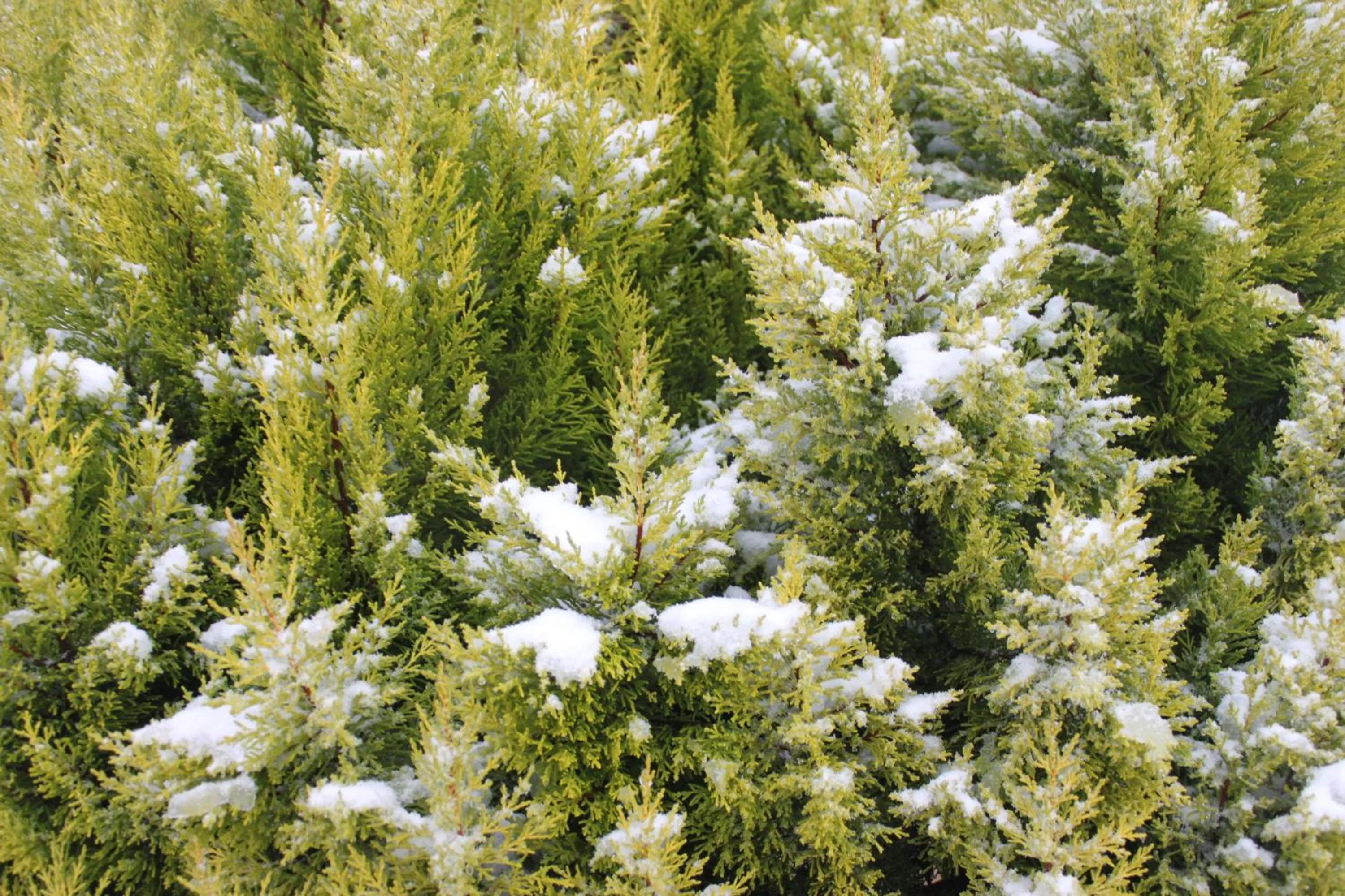 Other in Ailiga Travel Villa