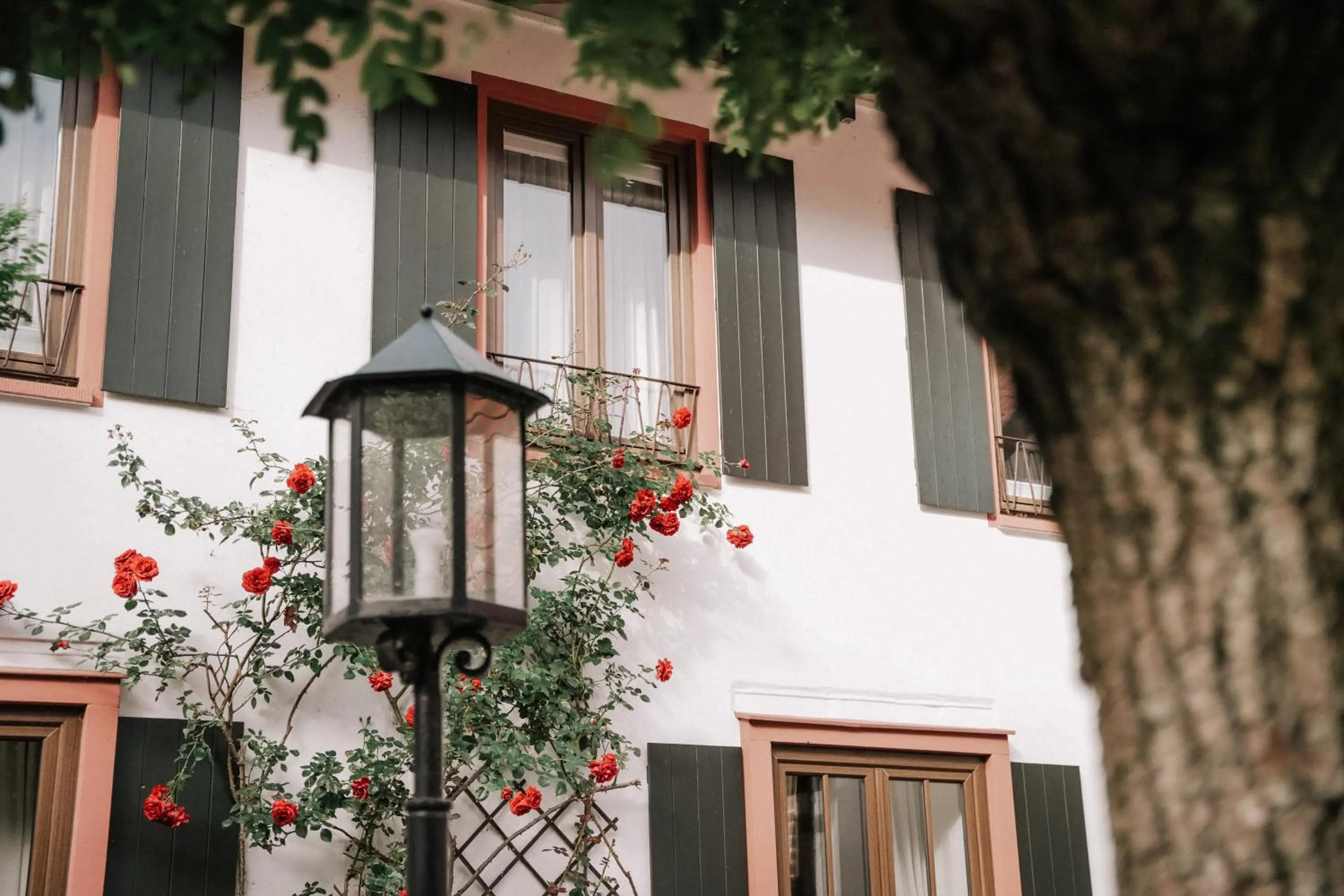 Property building in Landhotel Waldhaus