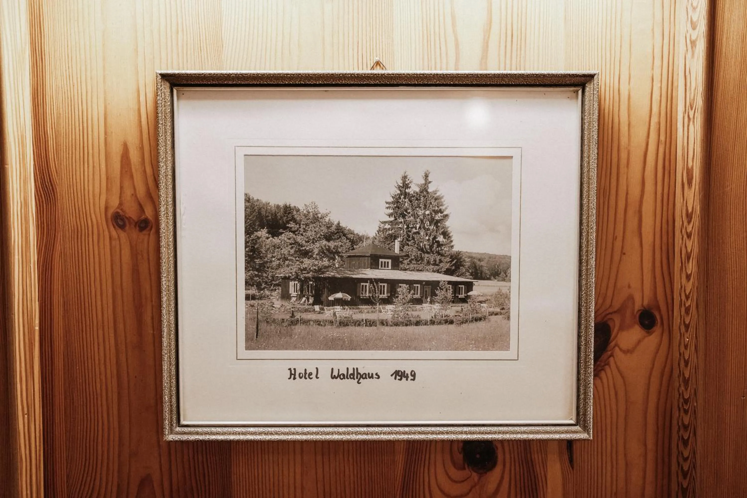 Restaurant/places to eat in Landhotel Waldhaus