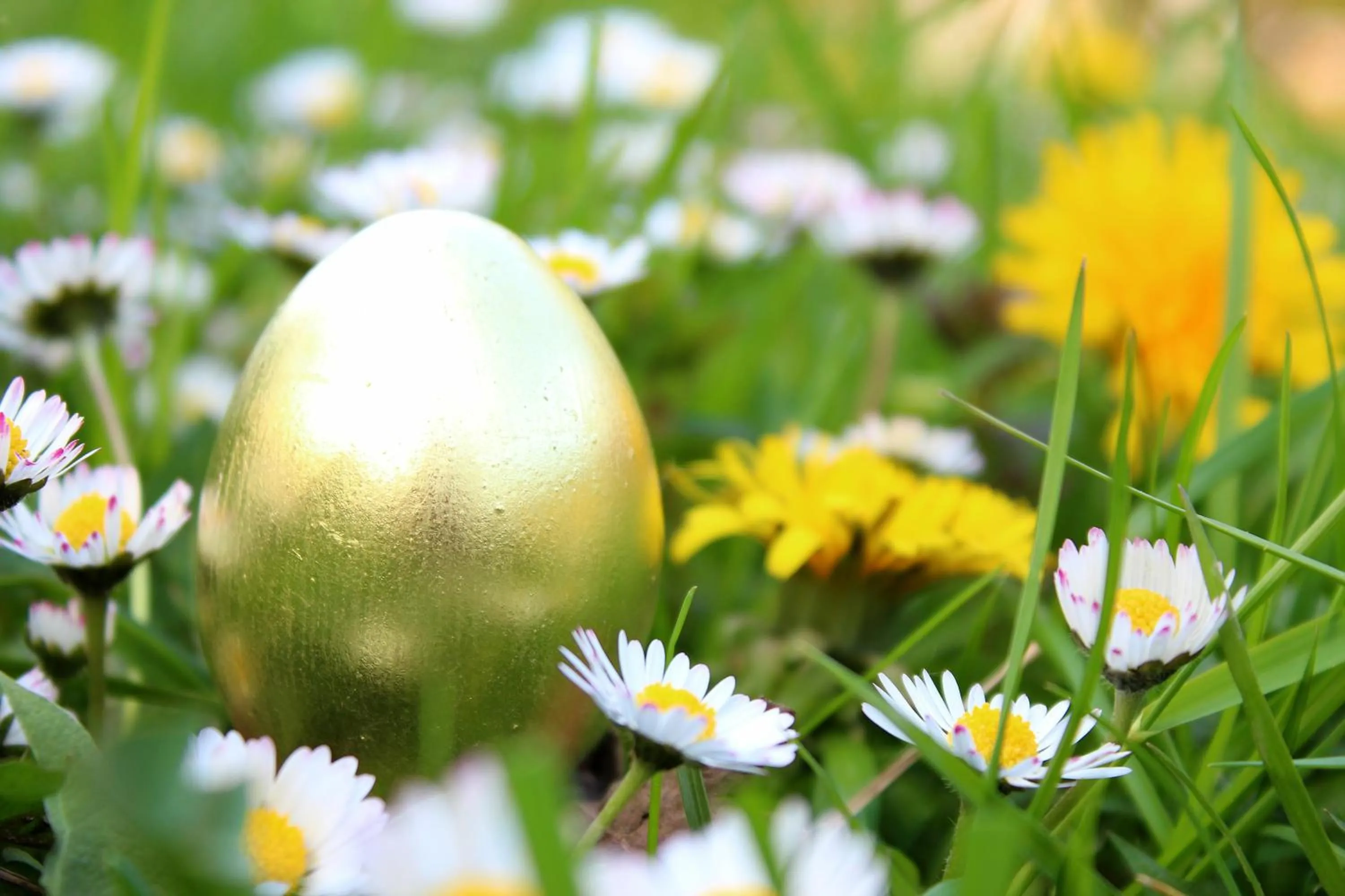 Sackmann Genuss und Spa Resort