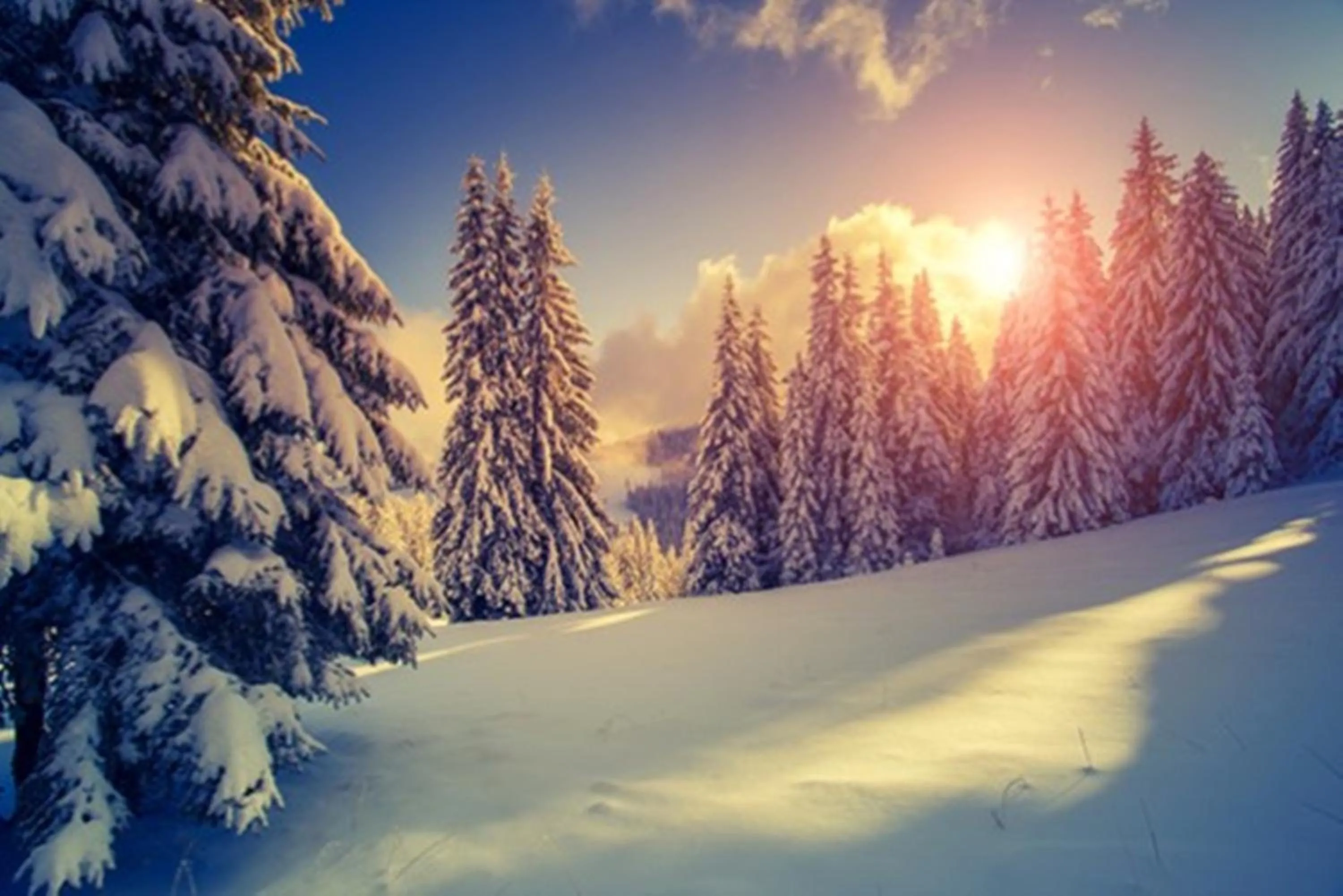 Off site in Sackmann Genuss und Spa Resort