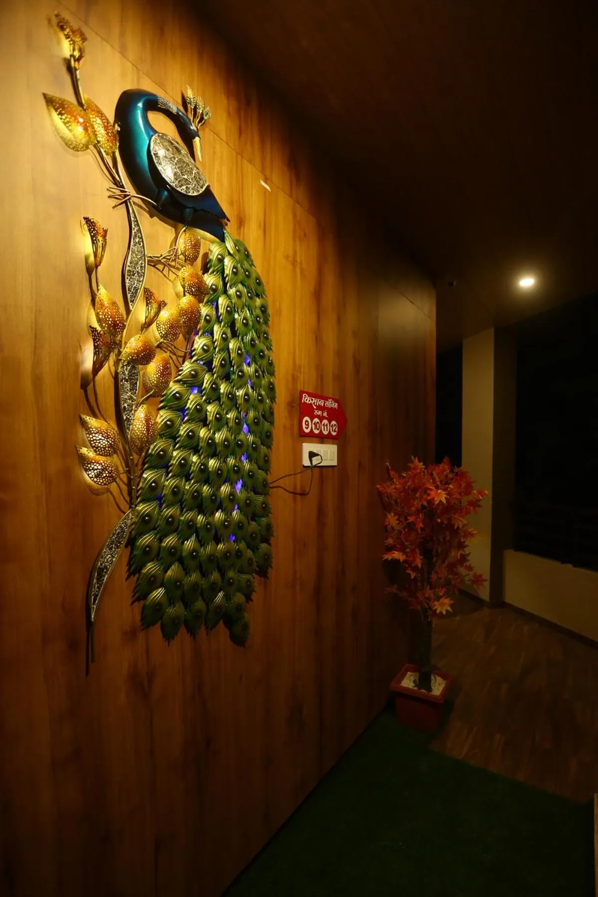 View (from property/room) in Hotel Kissan