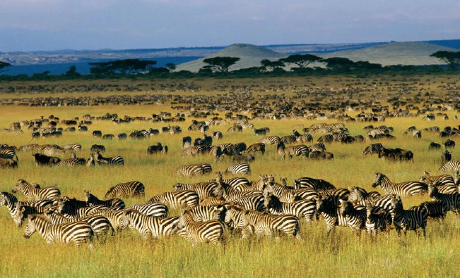 Nearby landmark in Walabi Mara Hotel