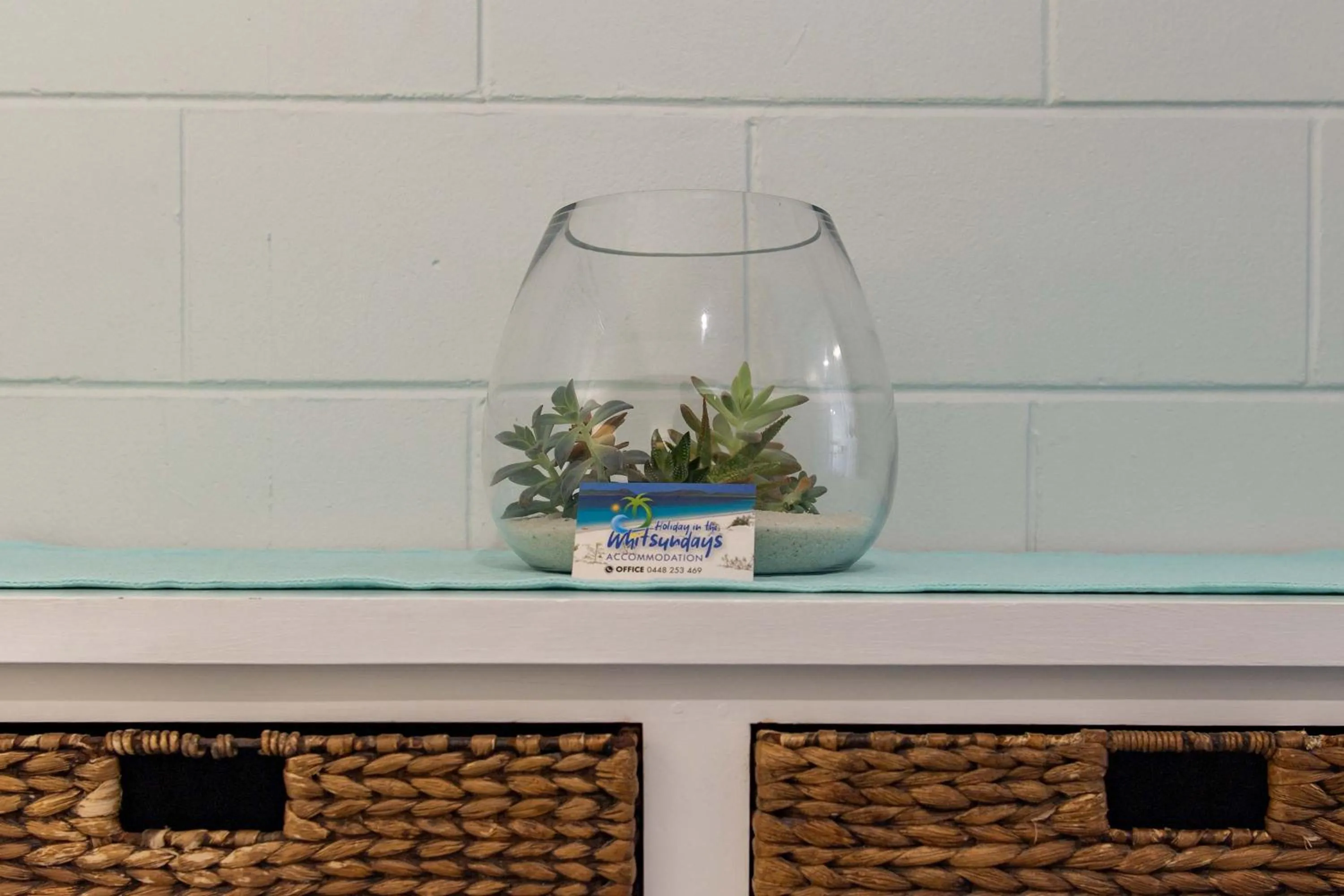 Airlie Sun & Sand Accommodation #5