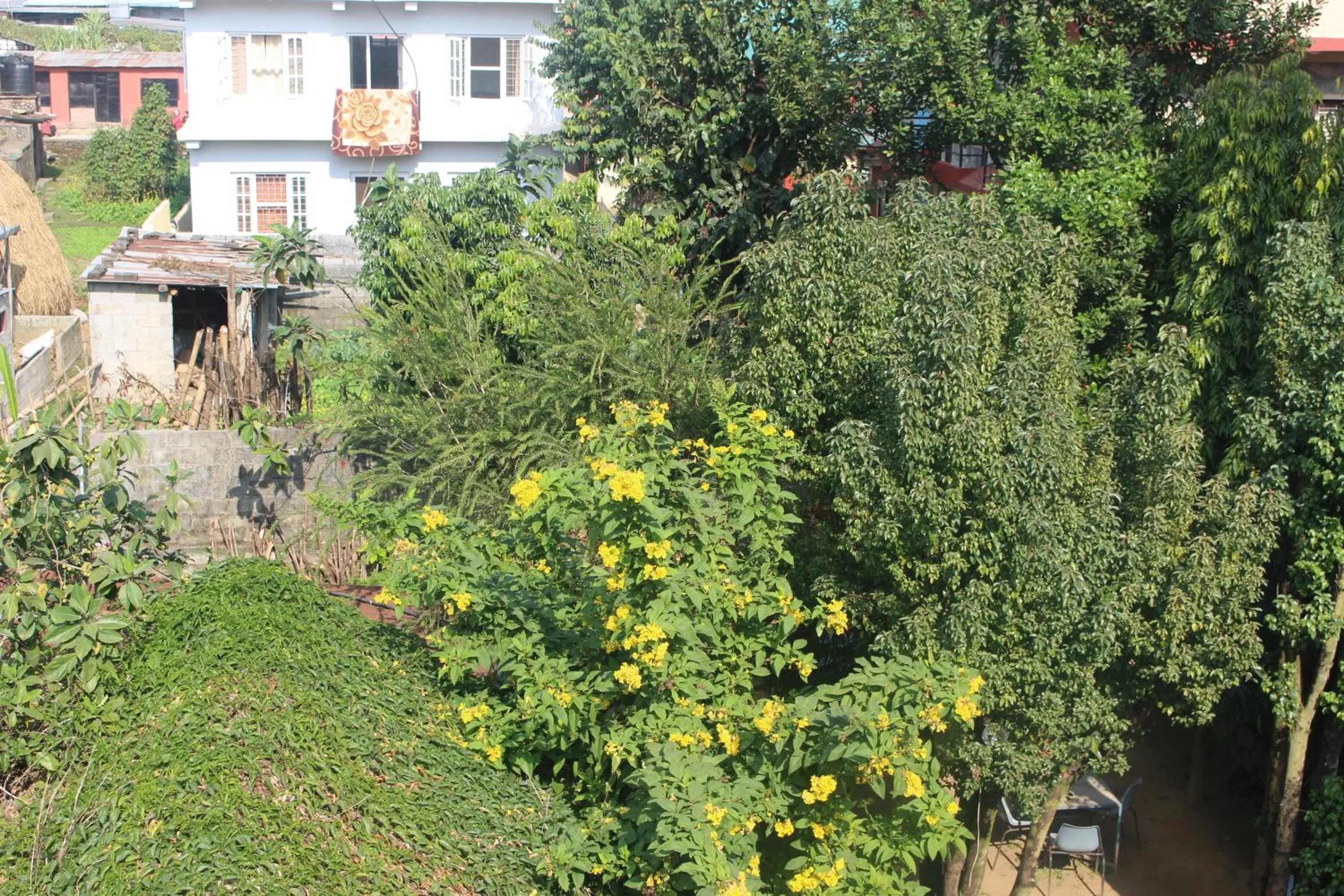 Garden in Hotel Fishtail Villa