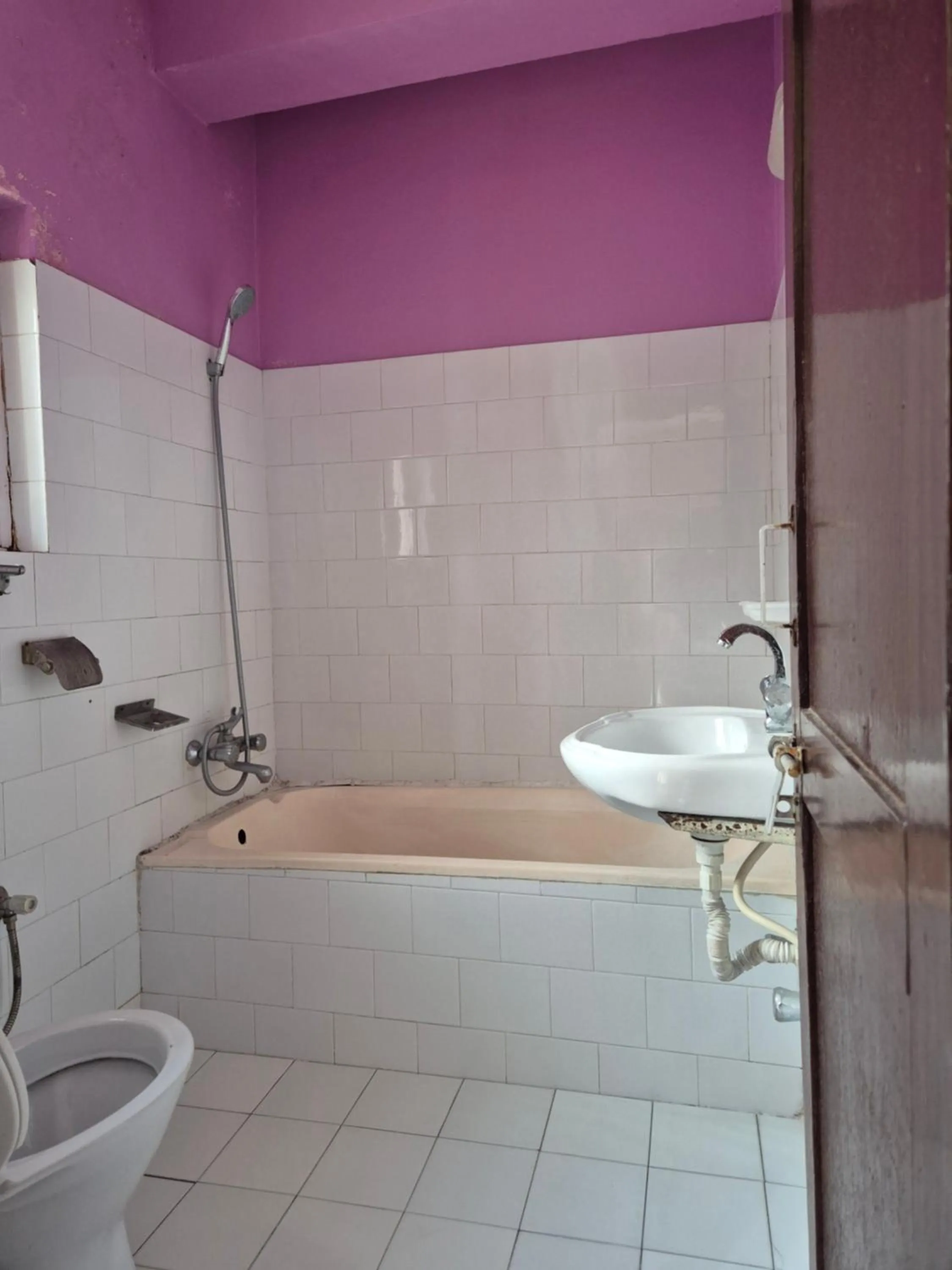 Hotel Fishtail Villa