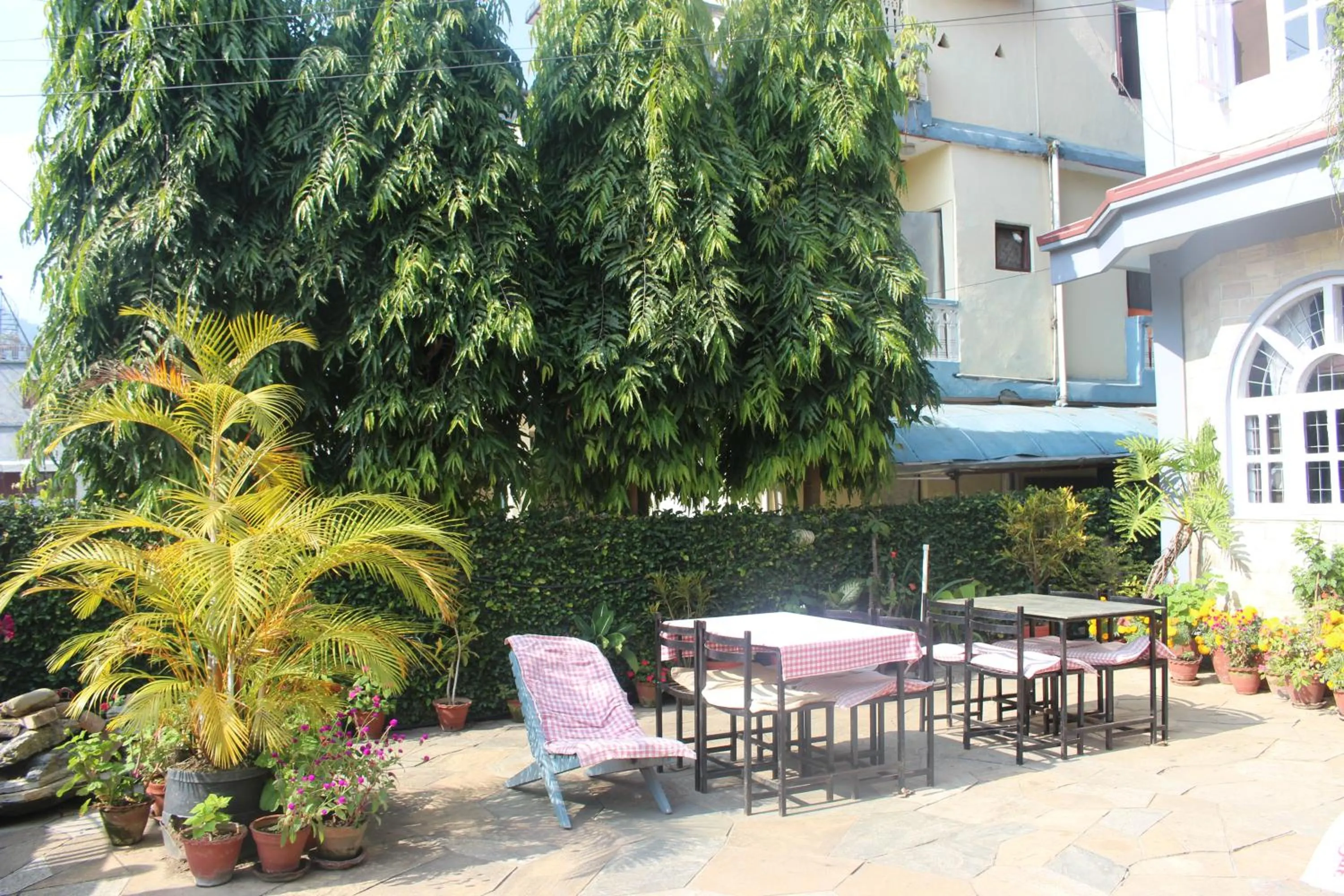 Area and facilities in Hotel Fishtail Villa