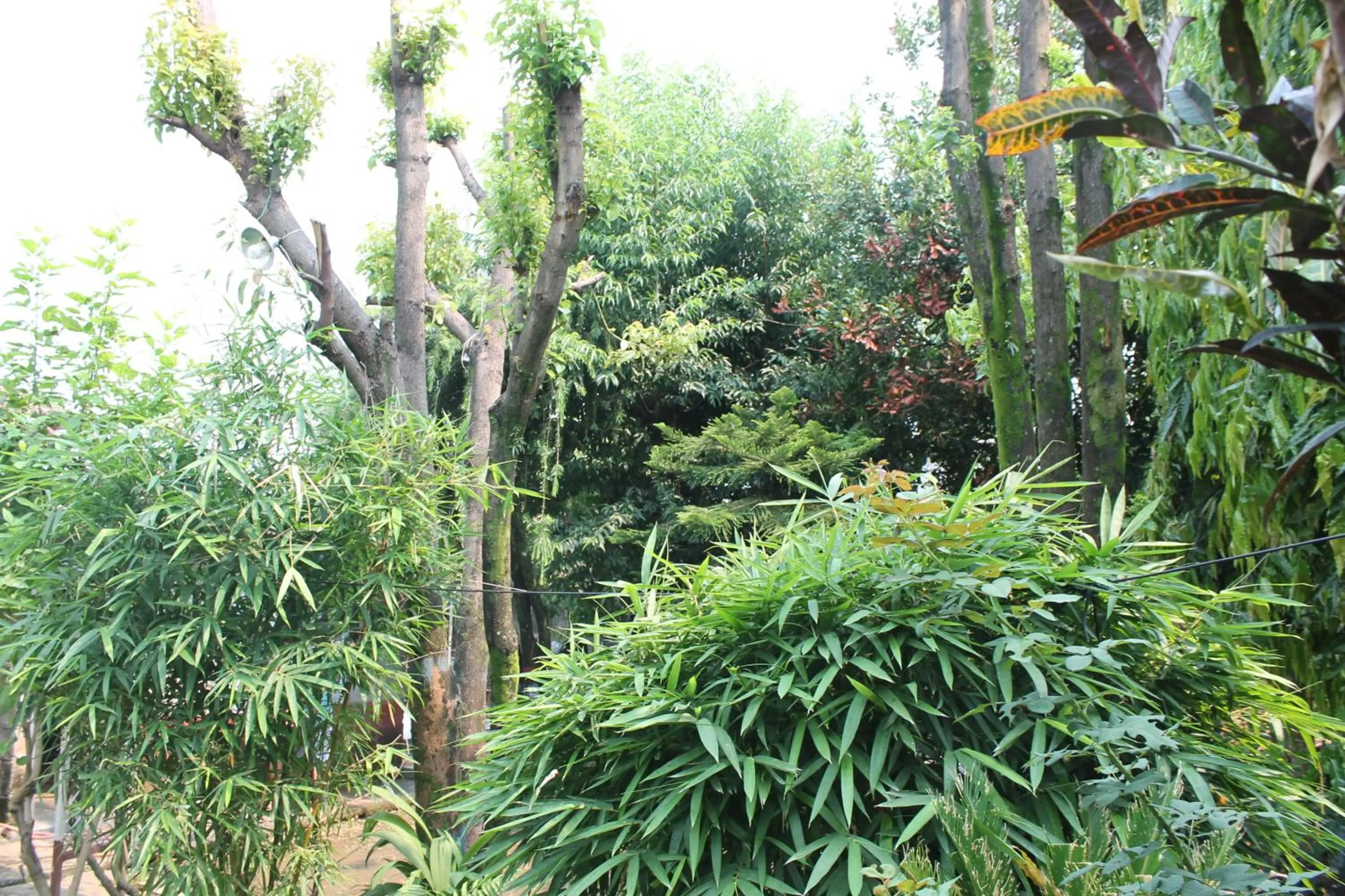 Winter in Hotel Fishtail Villa