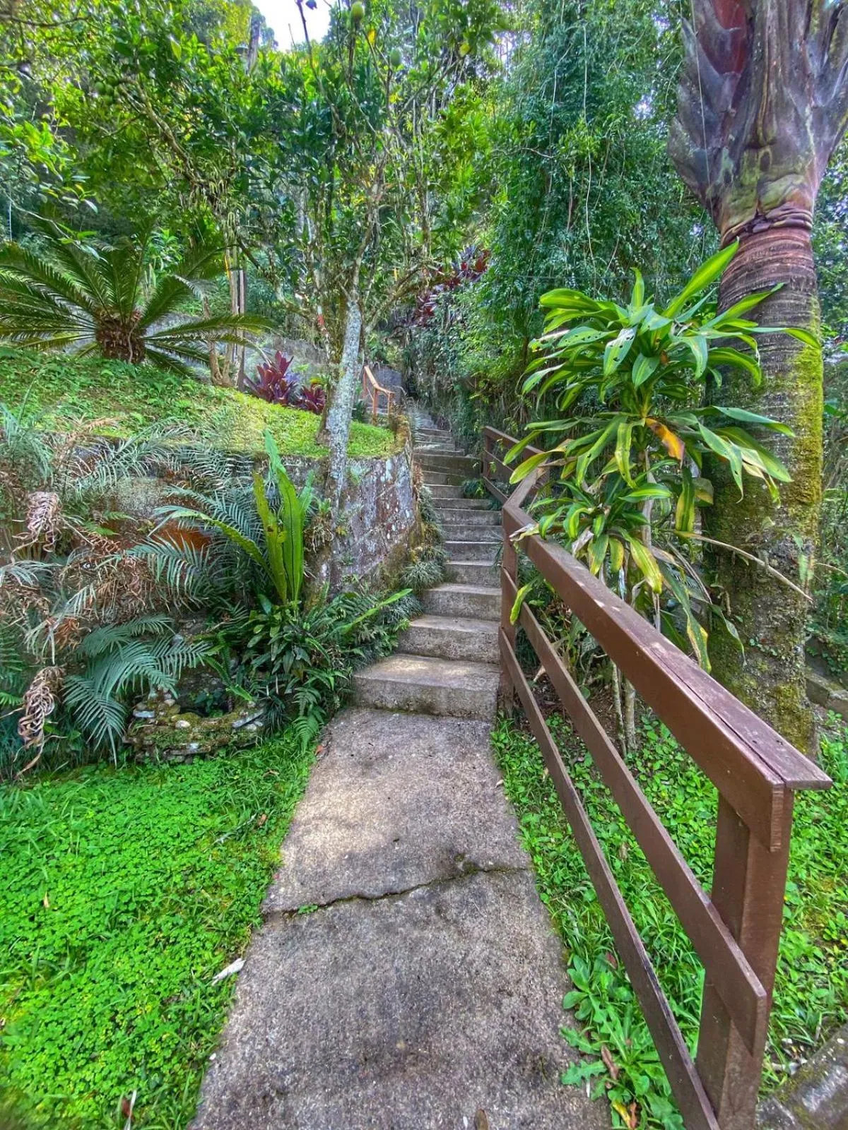 Garden in Pousada Colibri Serrano