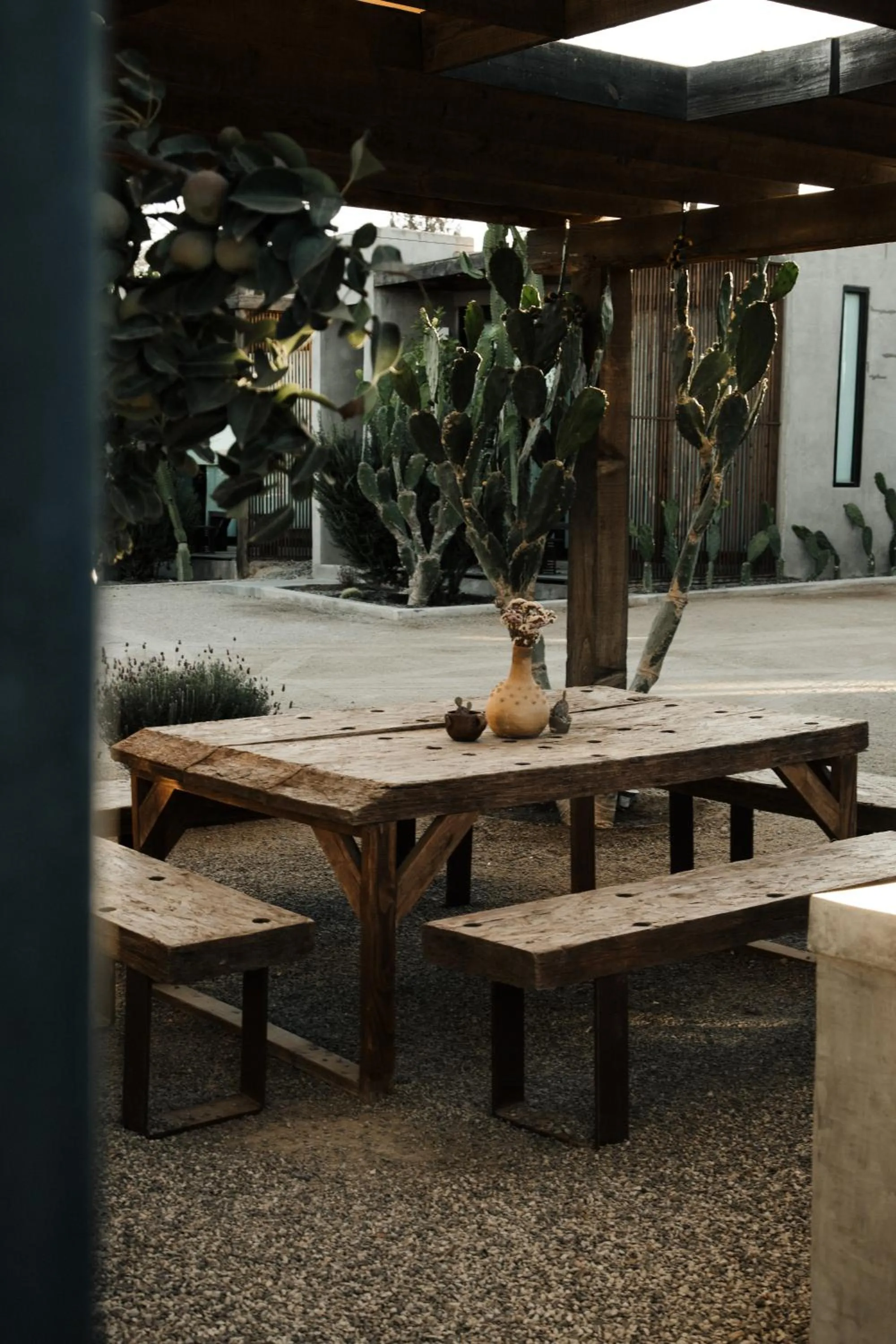Patio in Casa Michaus Valle de Guadalupe