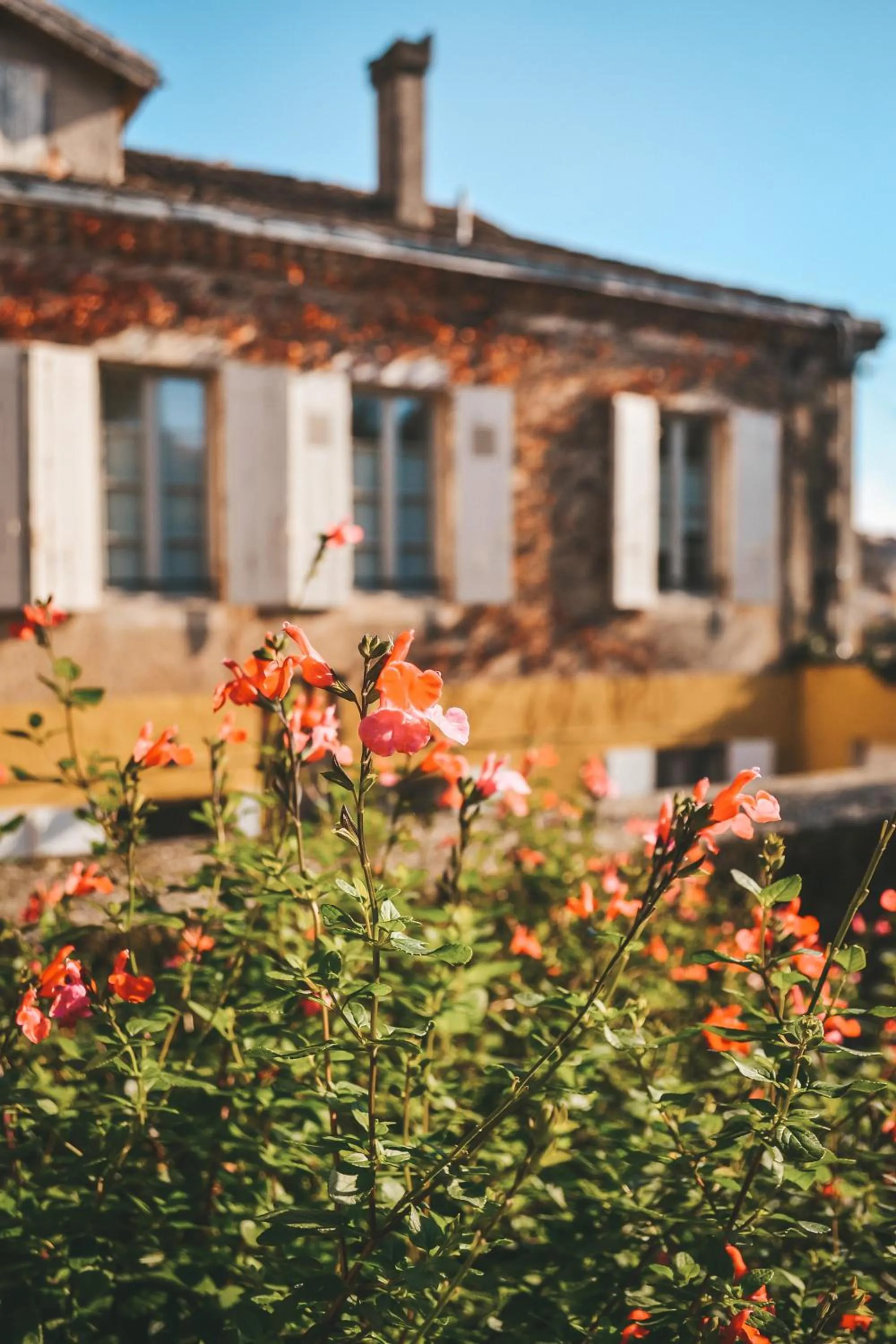 Property building in Le Chai