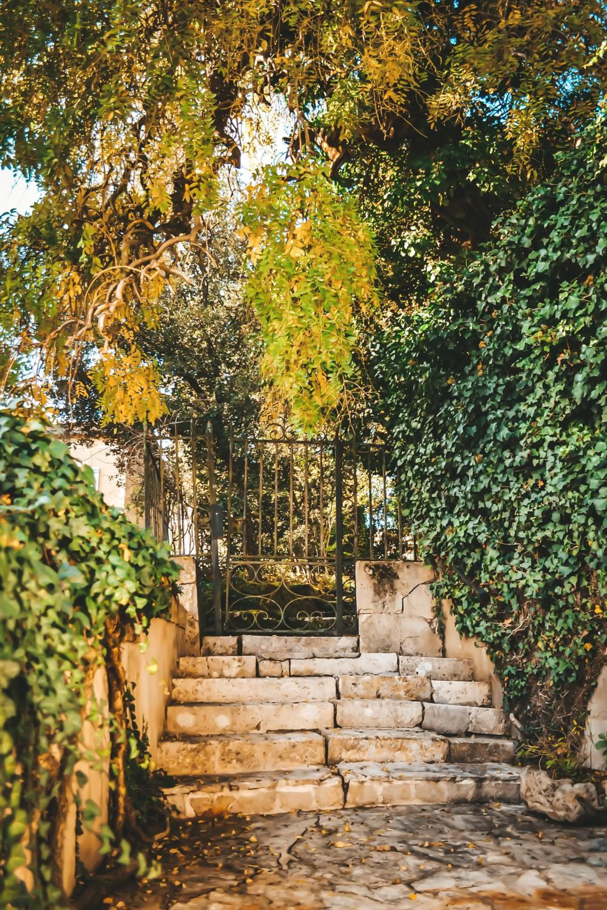 Property building in Le Chai