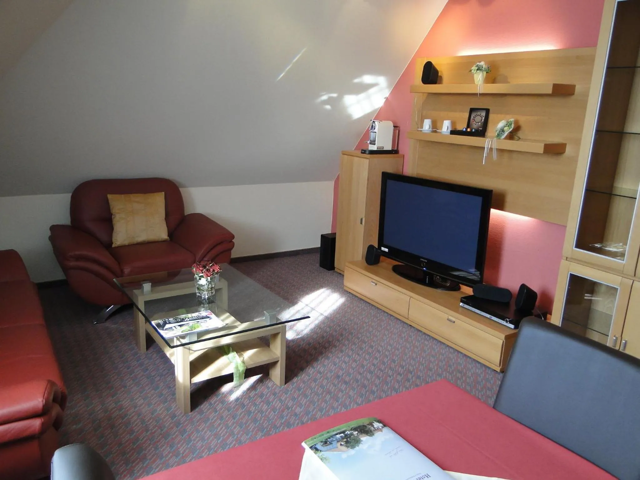 TV and multimedia in Hotel Rhöner Land Garni - Bed & Breakfast