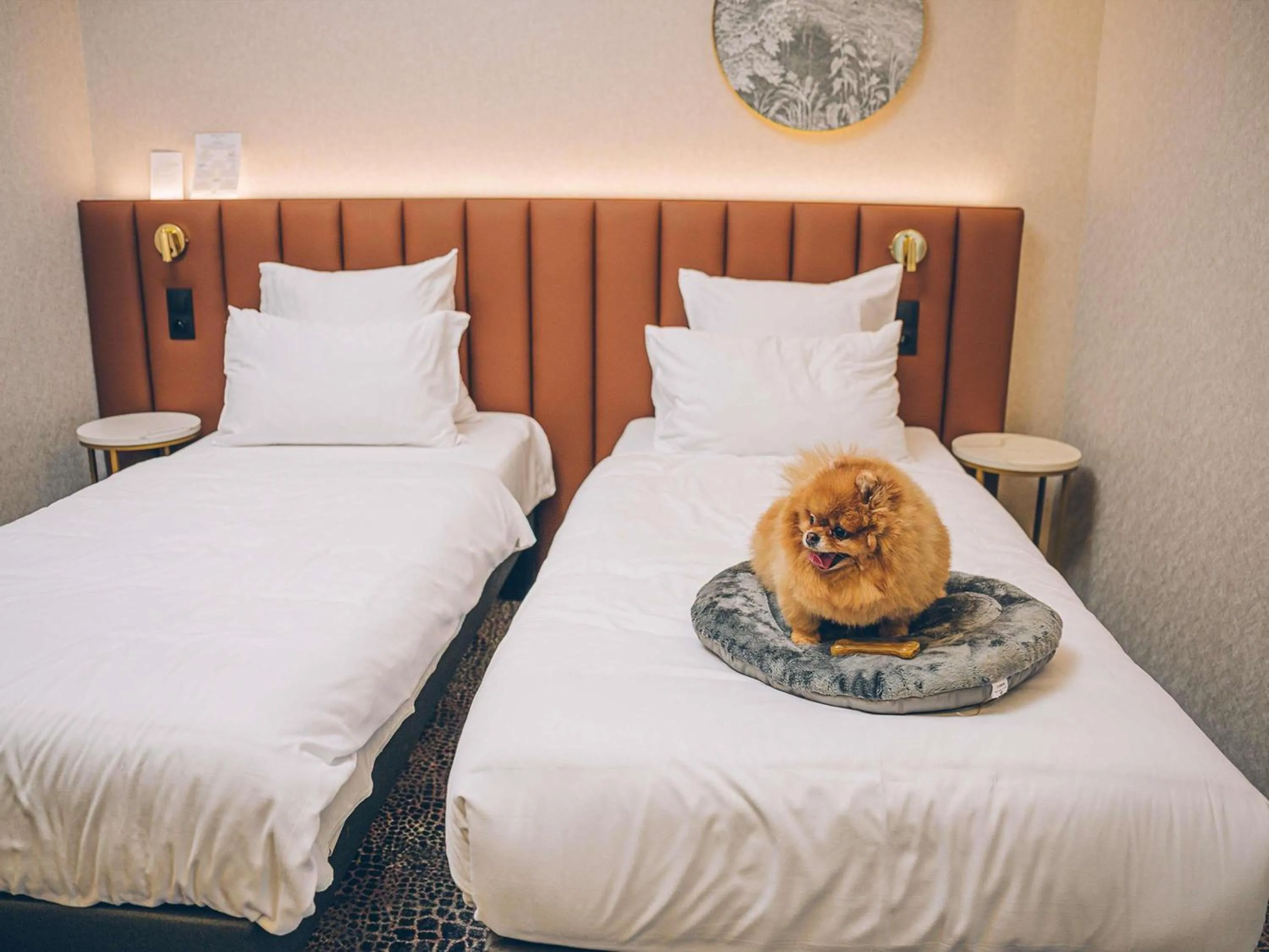 Bedroom, Bed in Mercure Bialystok