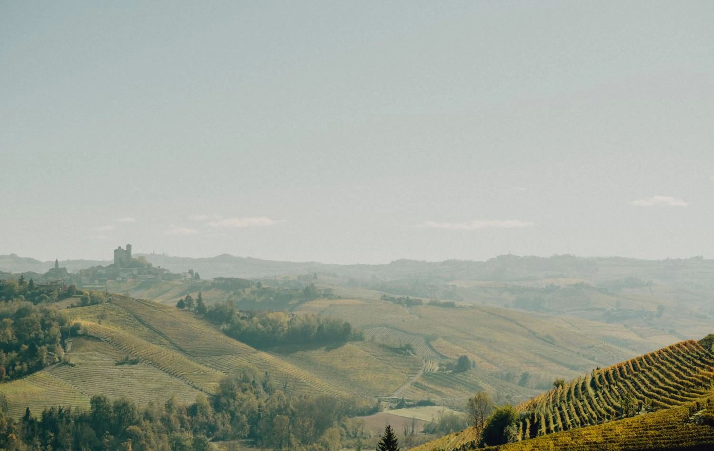 Natural landscape in Casa di Langa