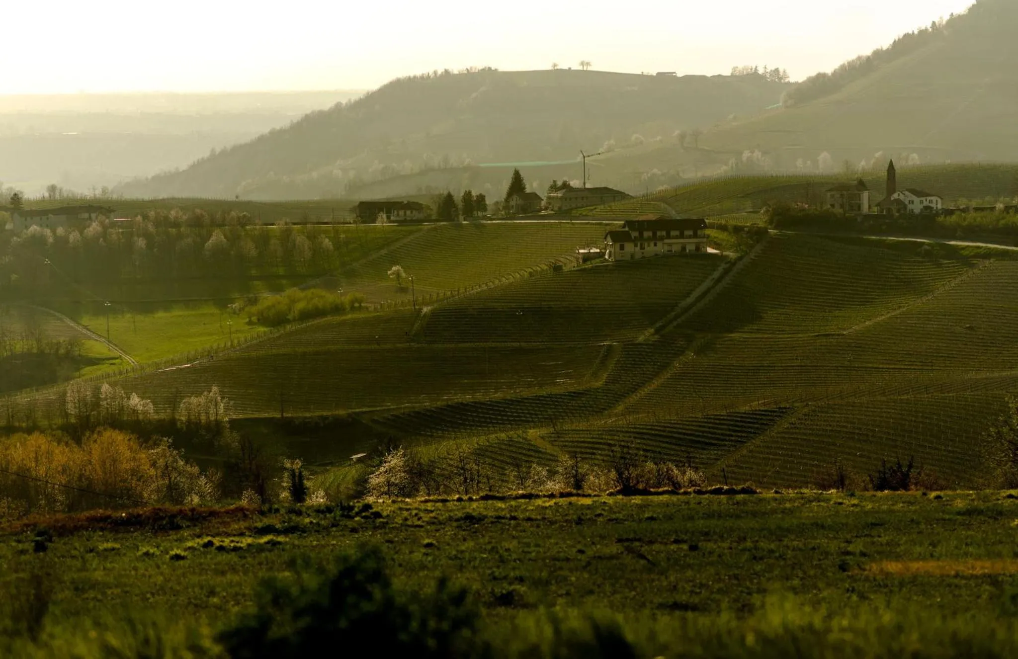 Natural landscape in Casa di Langa