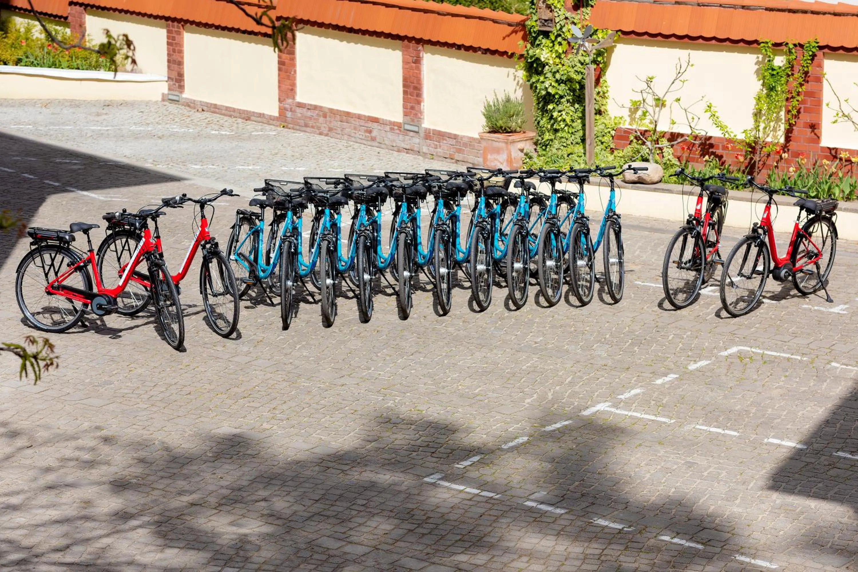 Cycling in Hotel Villa Monte Vino