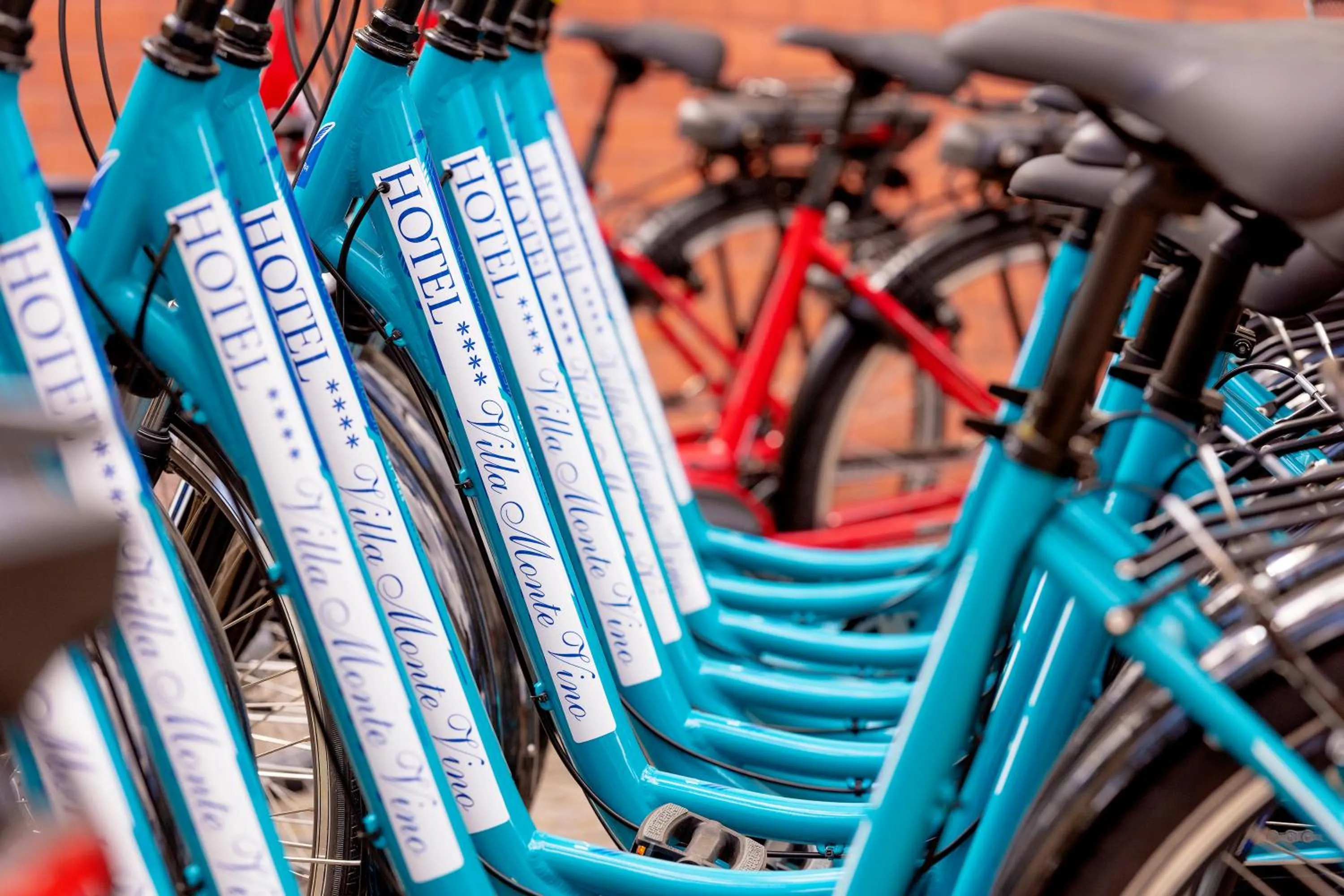 Cycling in Hotel Villa Monte Vino