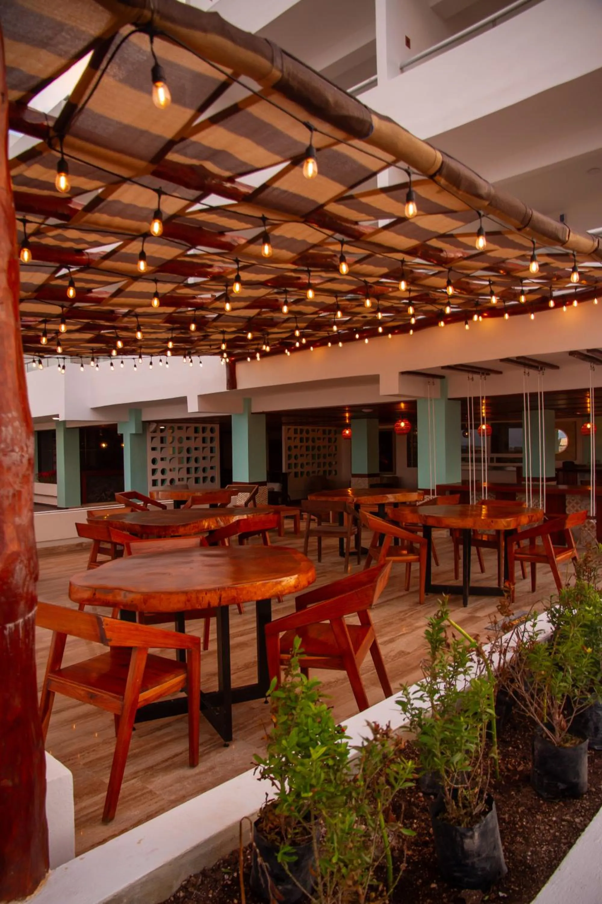 Restaurant/places to eat in Ocean Drive Hotel