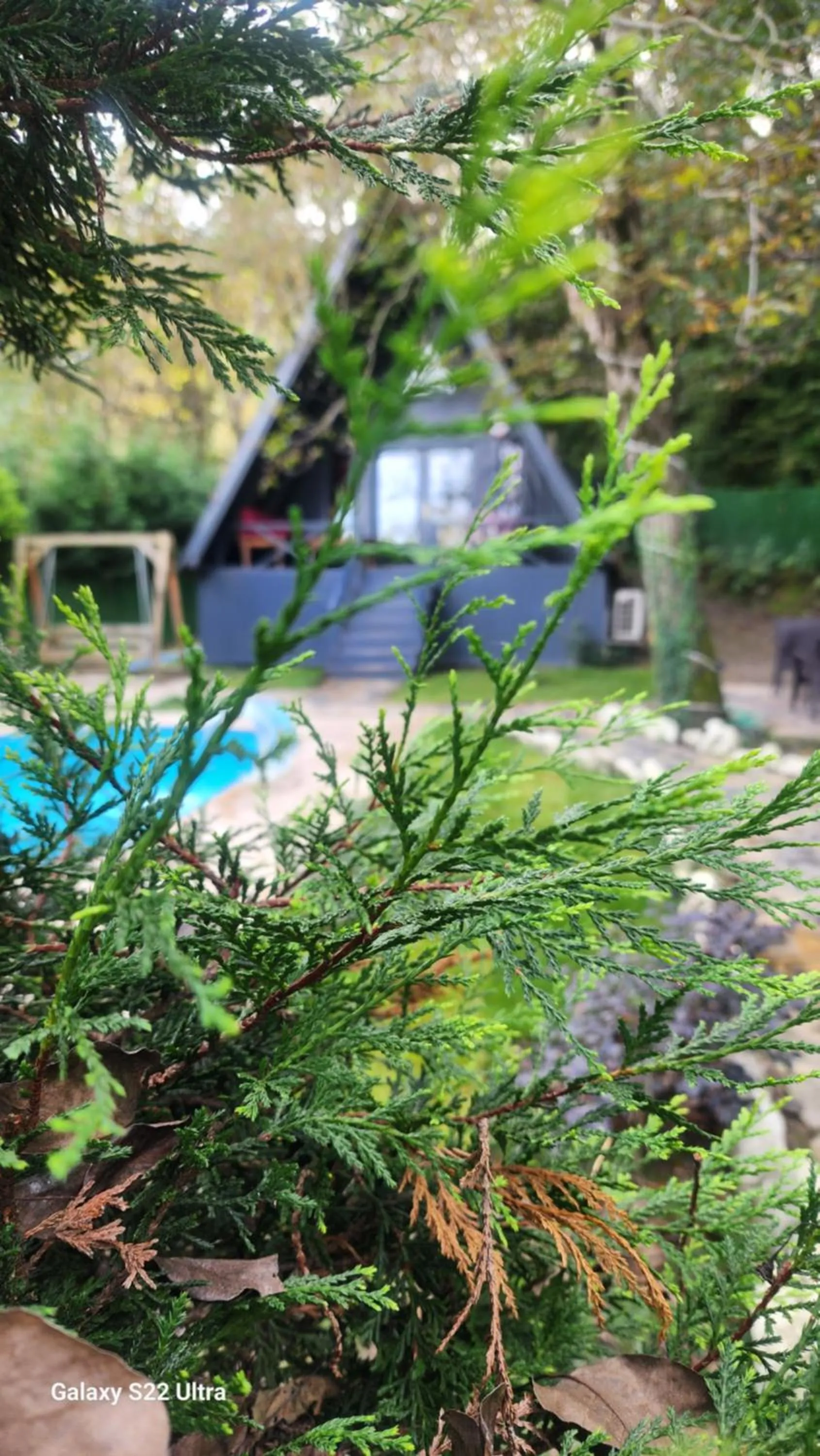 Sapanca Çağlayan Bungalow