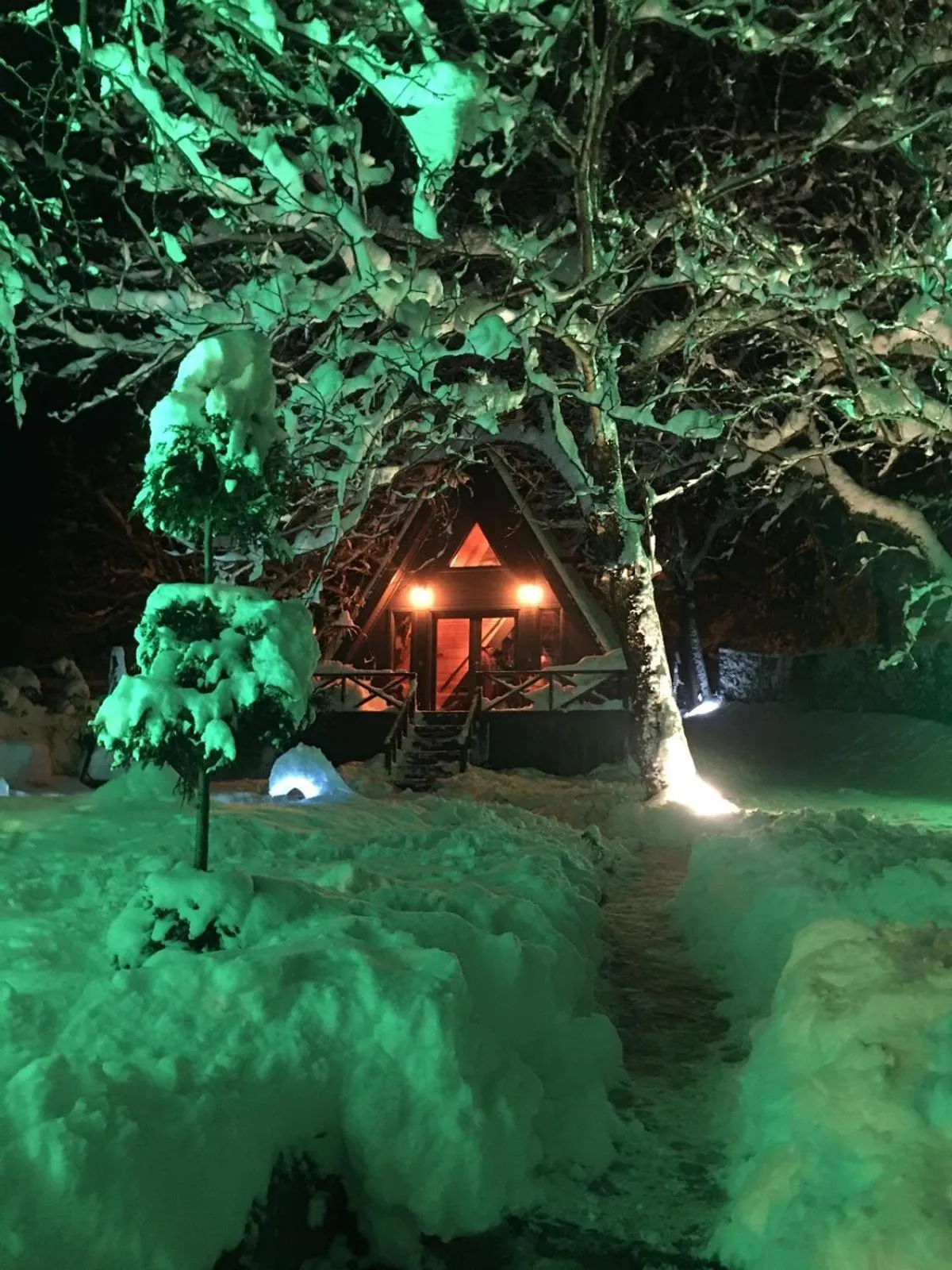 Sapanca Çağlayan Bungalow