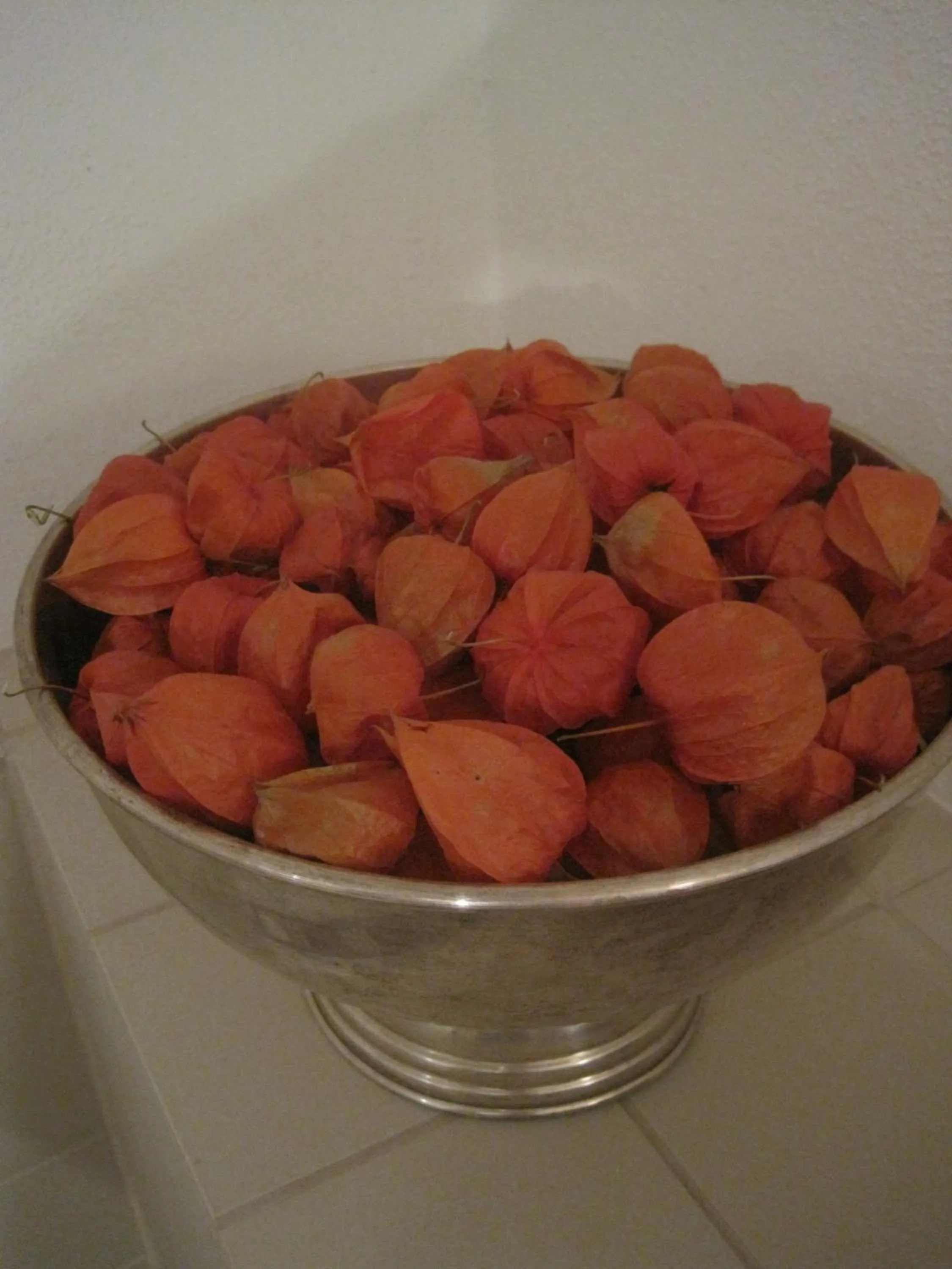 Gästehaus Alter Graben 8