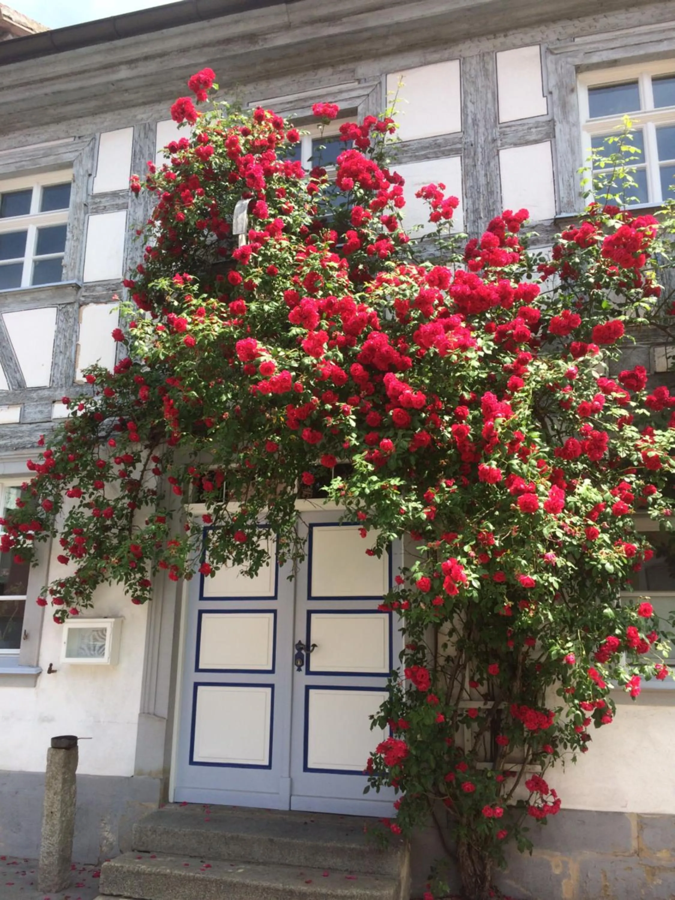 Gästehaus Alter Graben 8